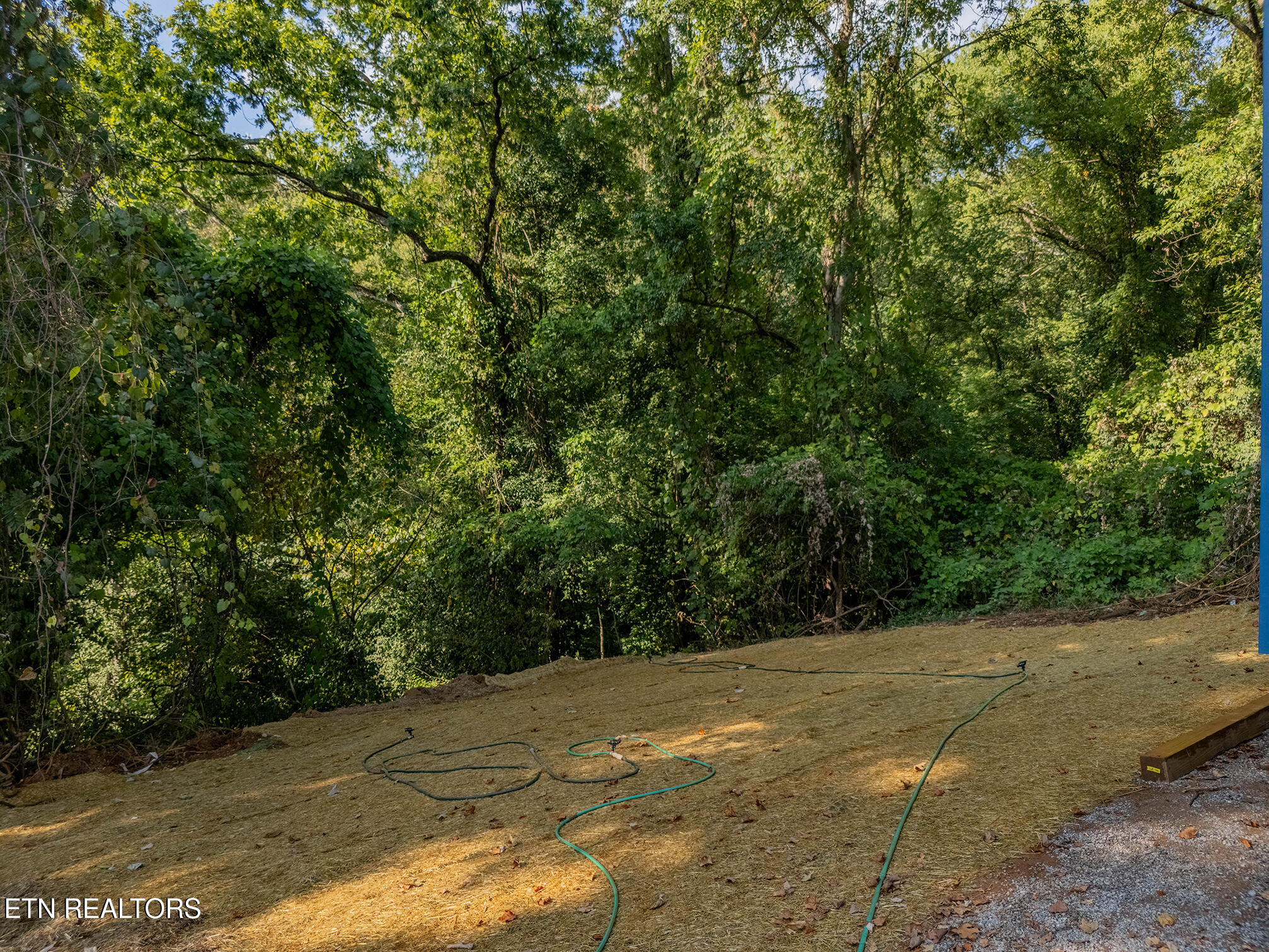 3821 Bonnie View Avenue Knoxville TN 37914