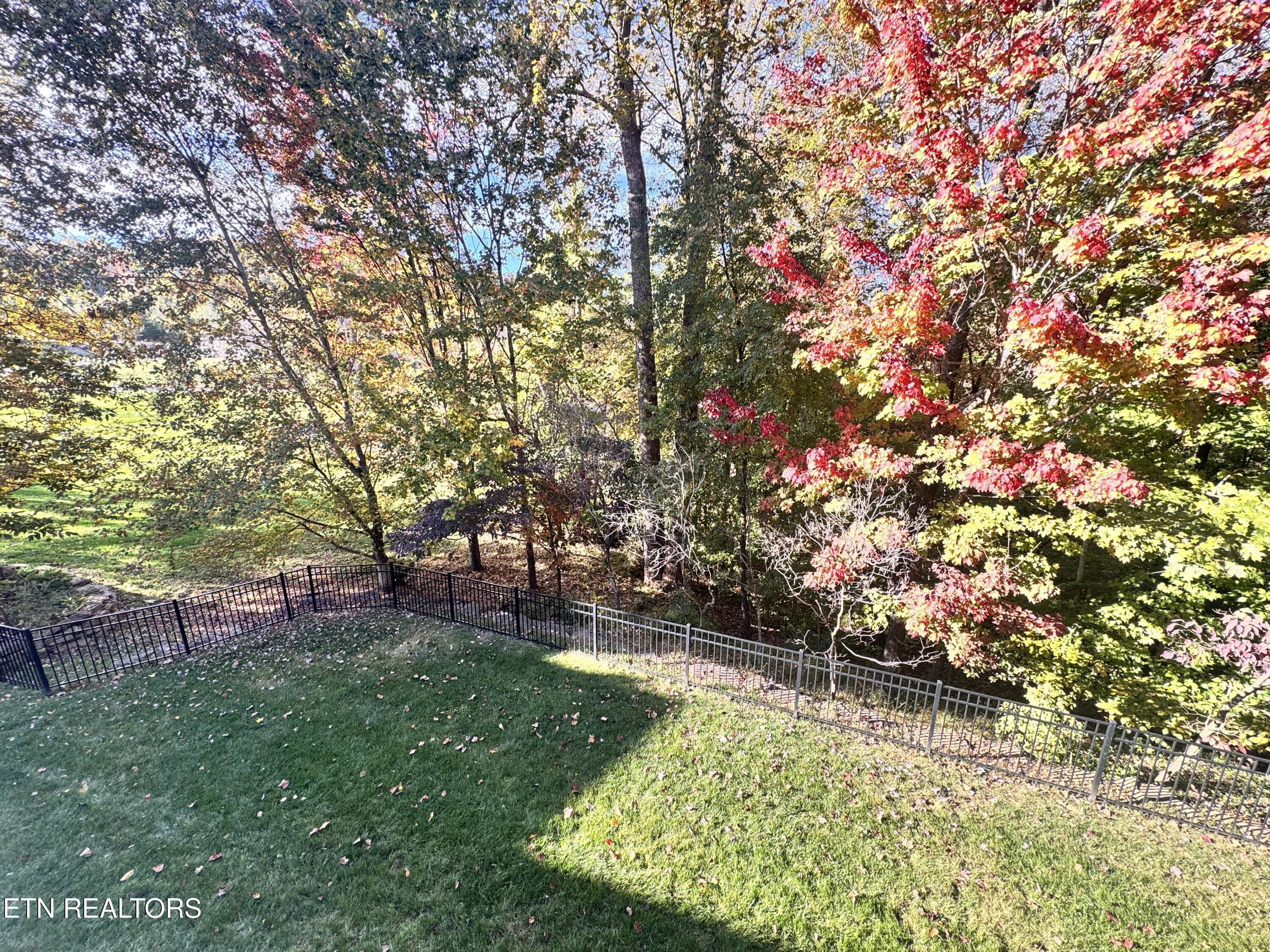 20 Rockingham Lane Oak Ridge TN 37830