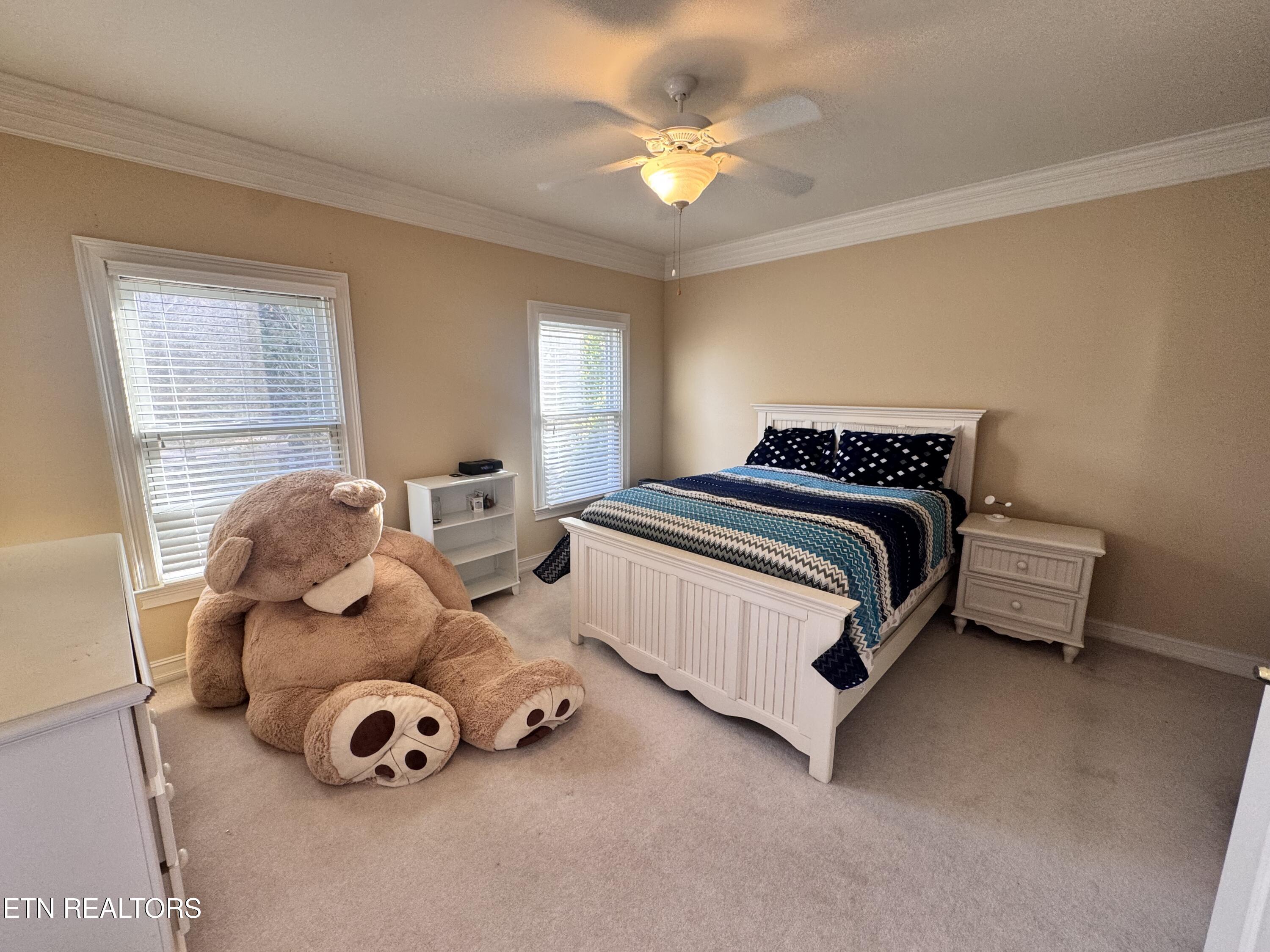 20 Rockingham Lane Oak Ridge TN 37830