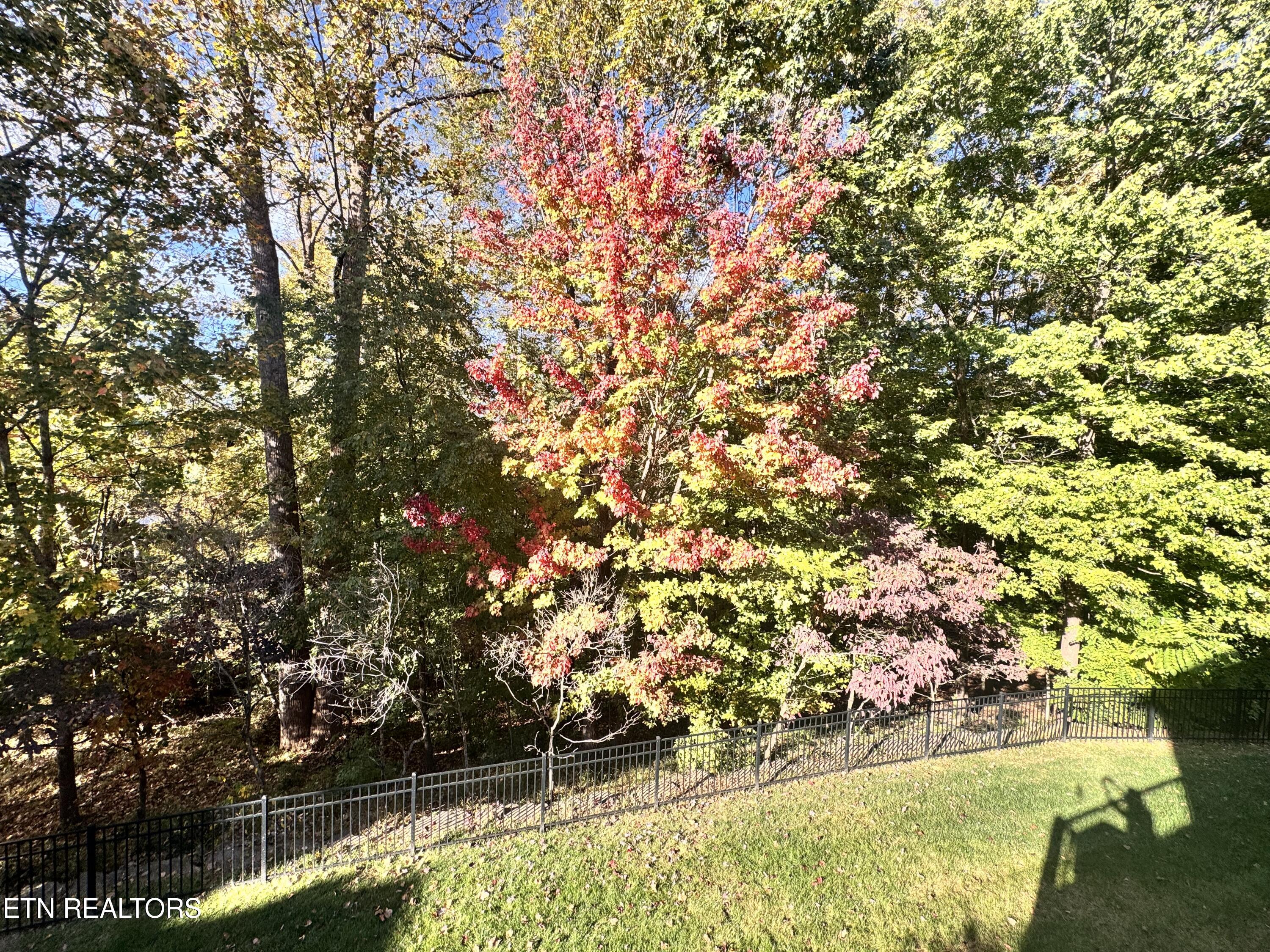 20 Rockingham Lane Oak Ridge TN 37830