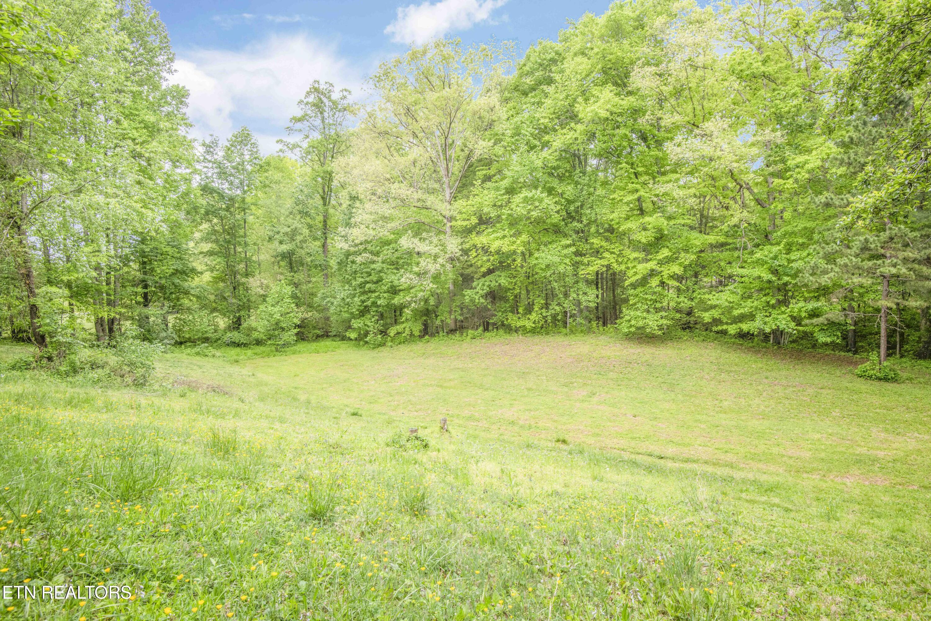 355 Eli Lane Oneida TN 37841