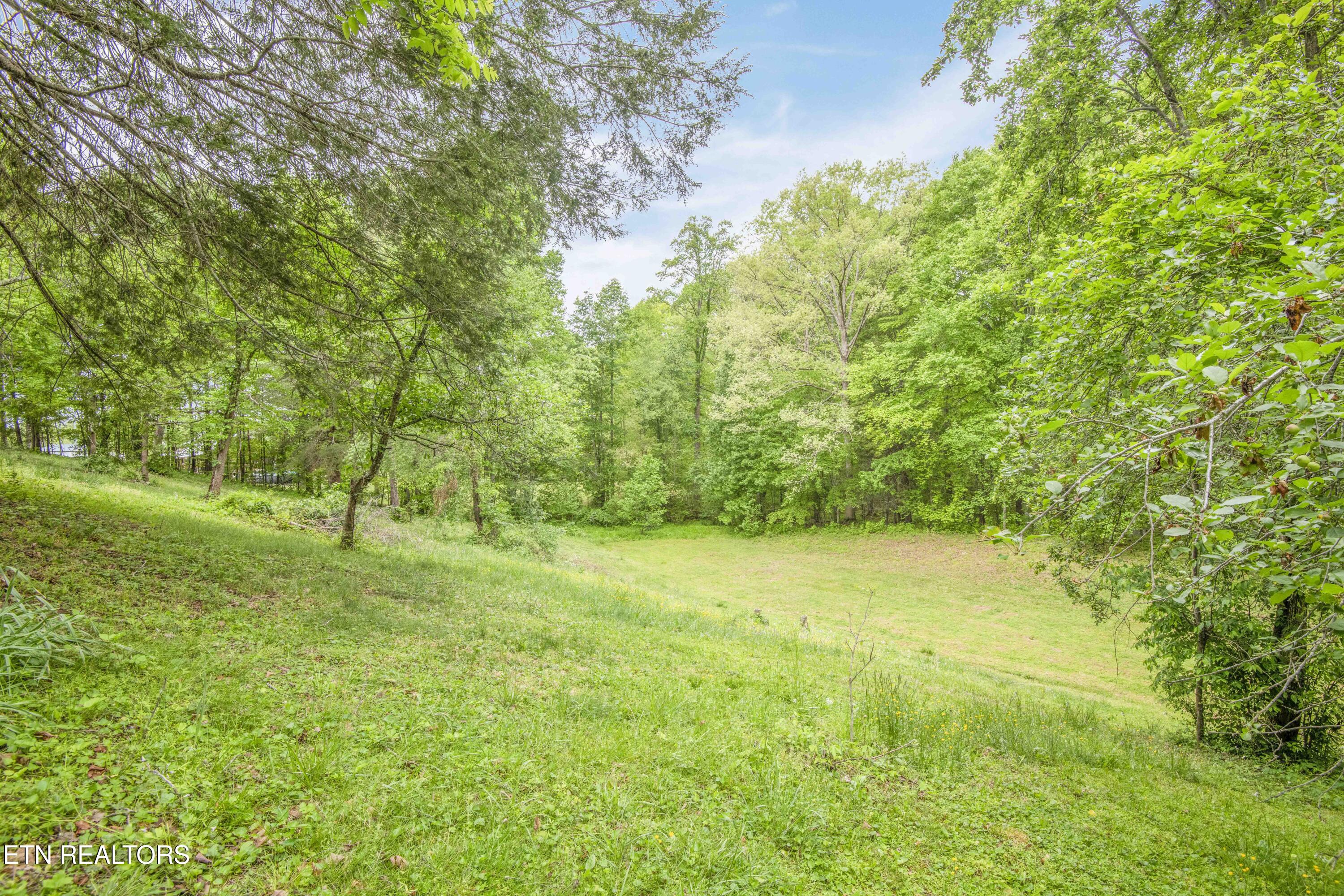 355 Eli Lane Oneida TN 37841