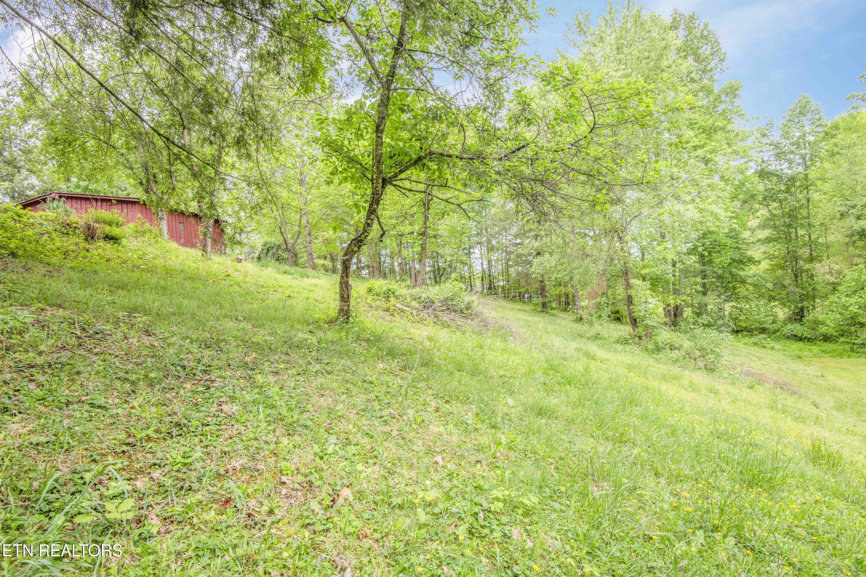 355 Eli Lane Oneida TN 37841