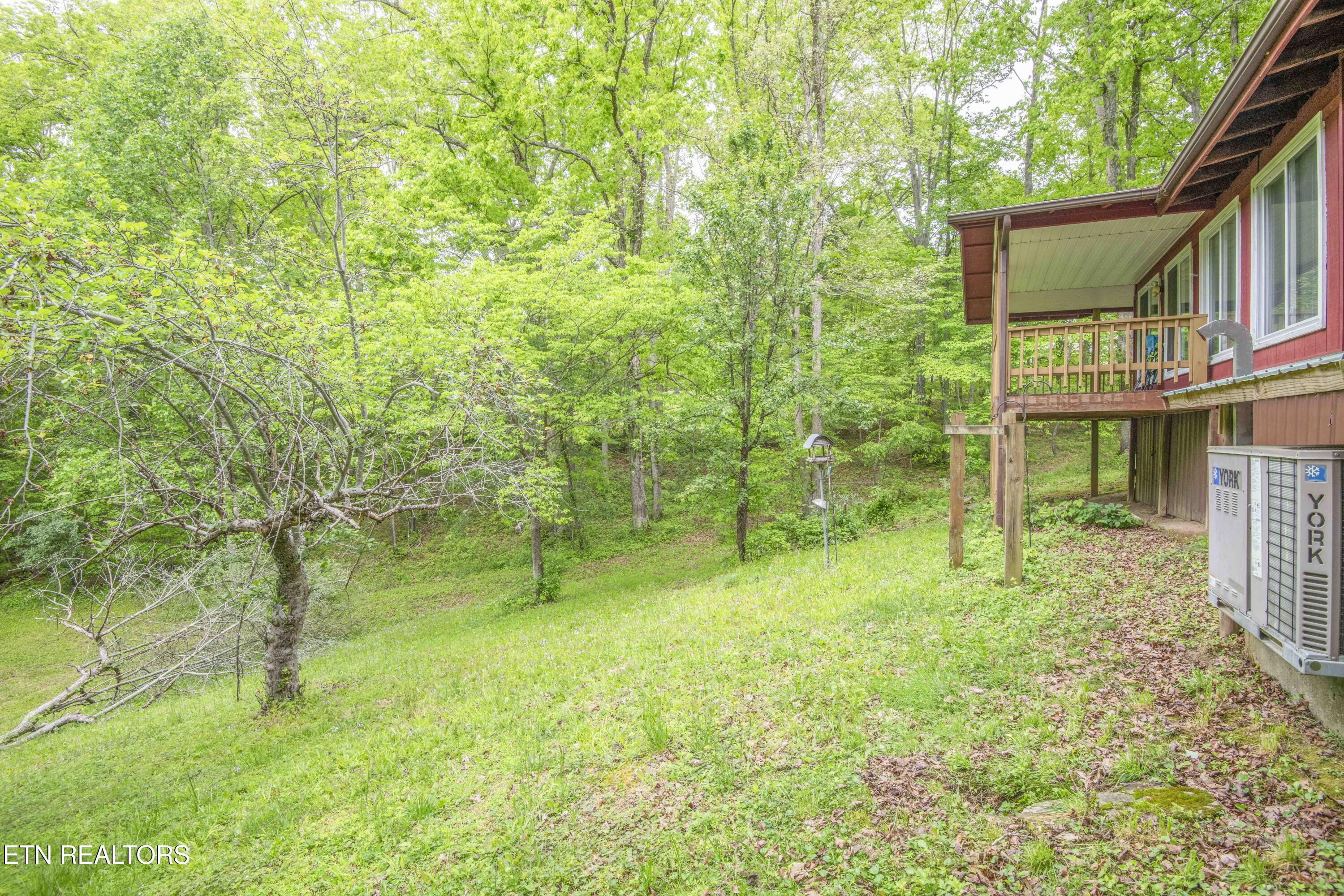 355 Eli Lane Oneida TN 37841