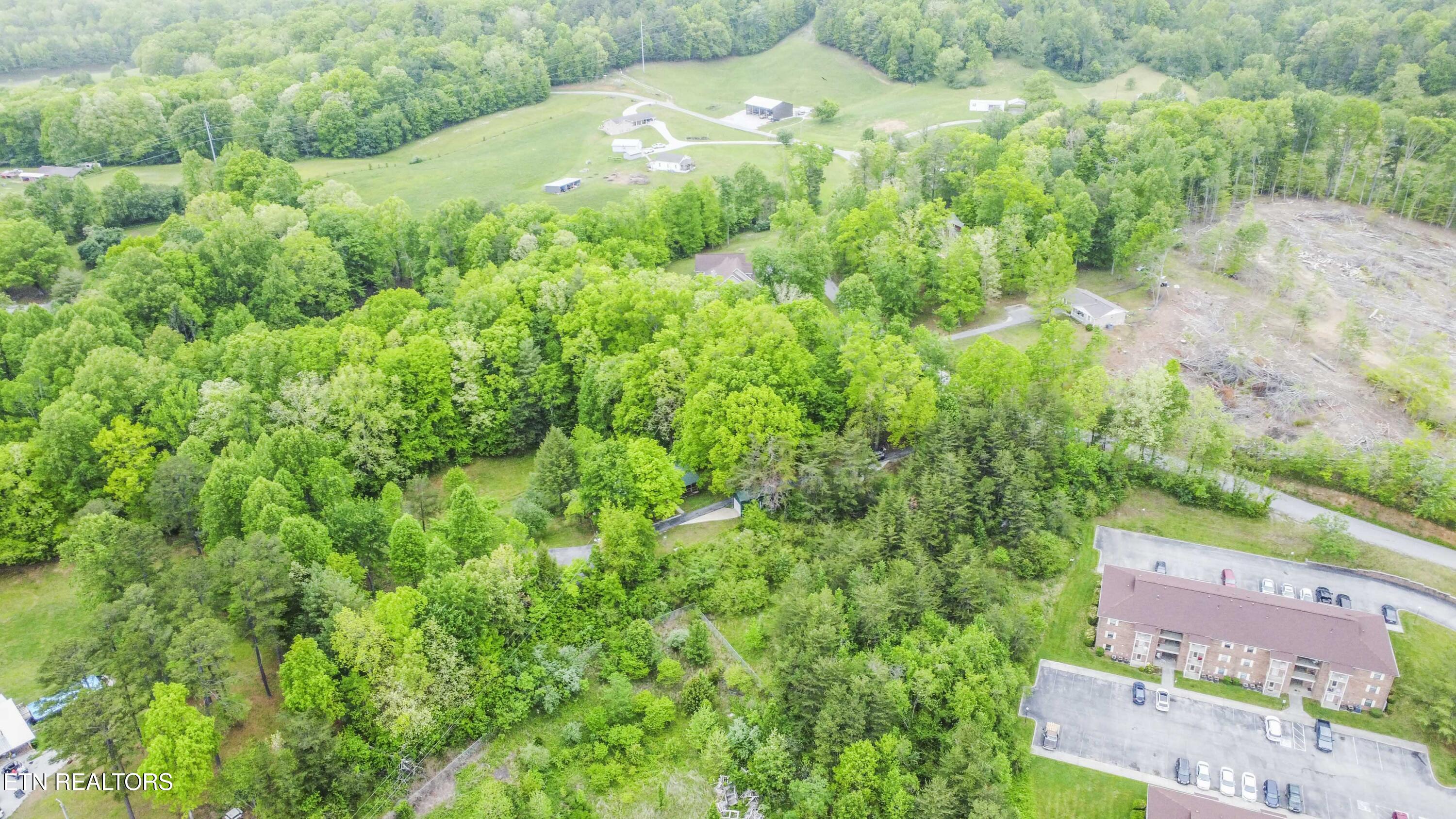 355 Eli Lane Oneida TN 37841