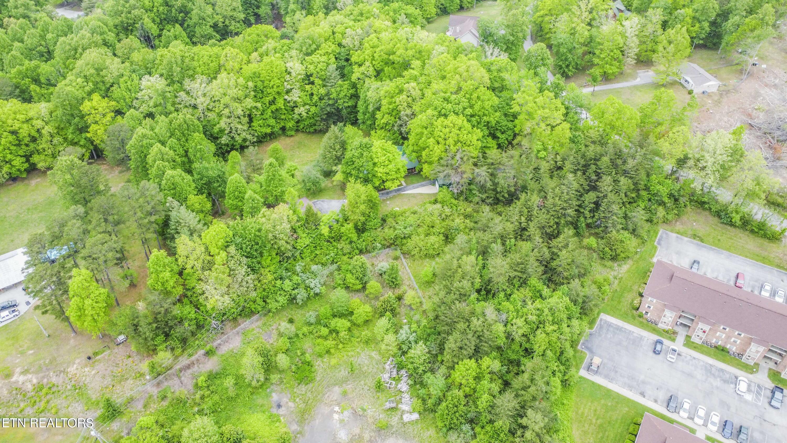 355 Eli Lane Oneida TN 37841