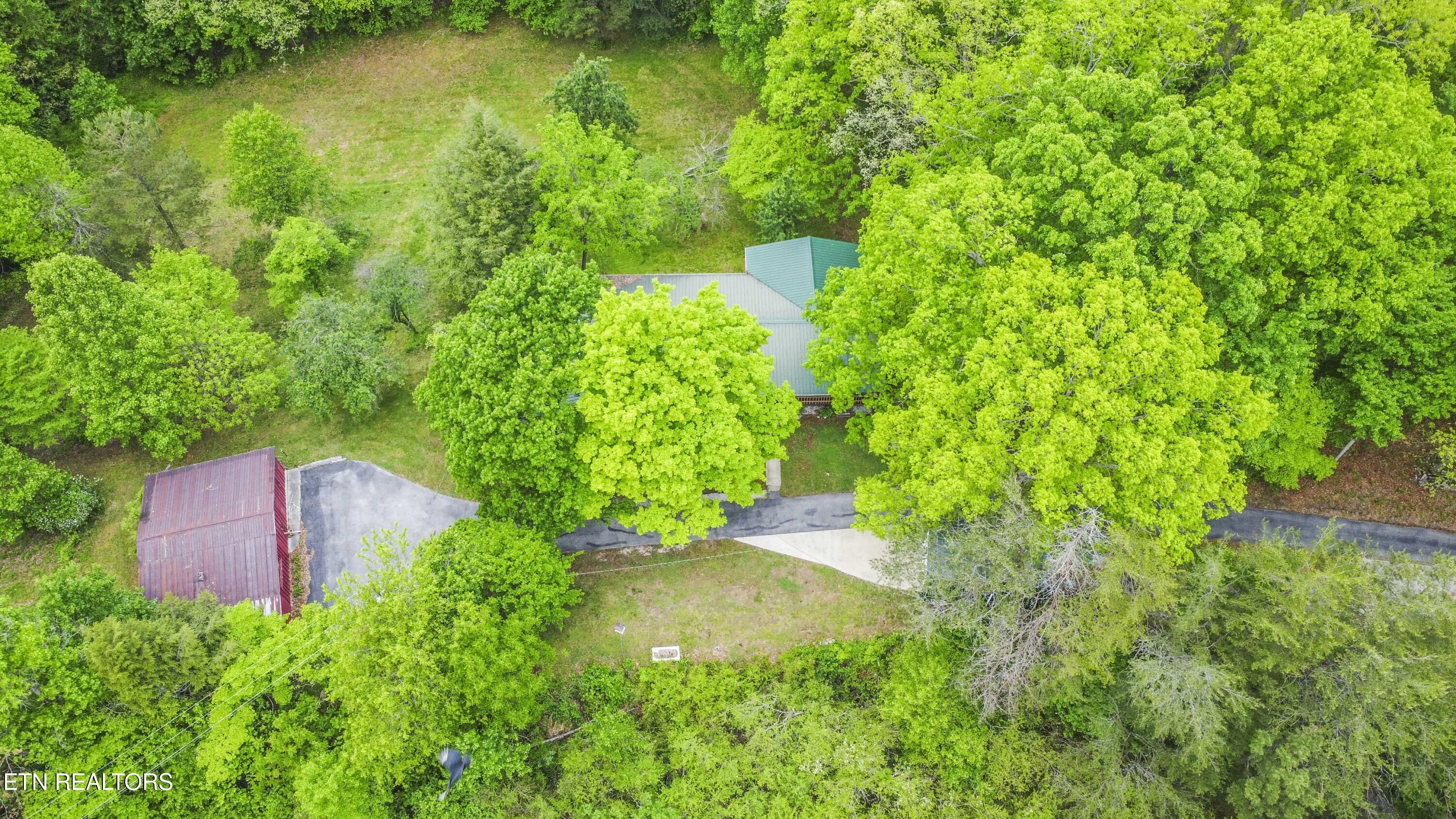 355 Eli Lane Oneida TN 37841