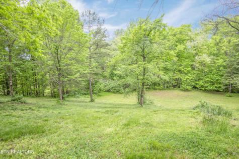 355 Eli Lane Oneida TN 37841
