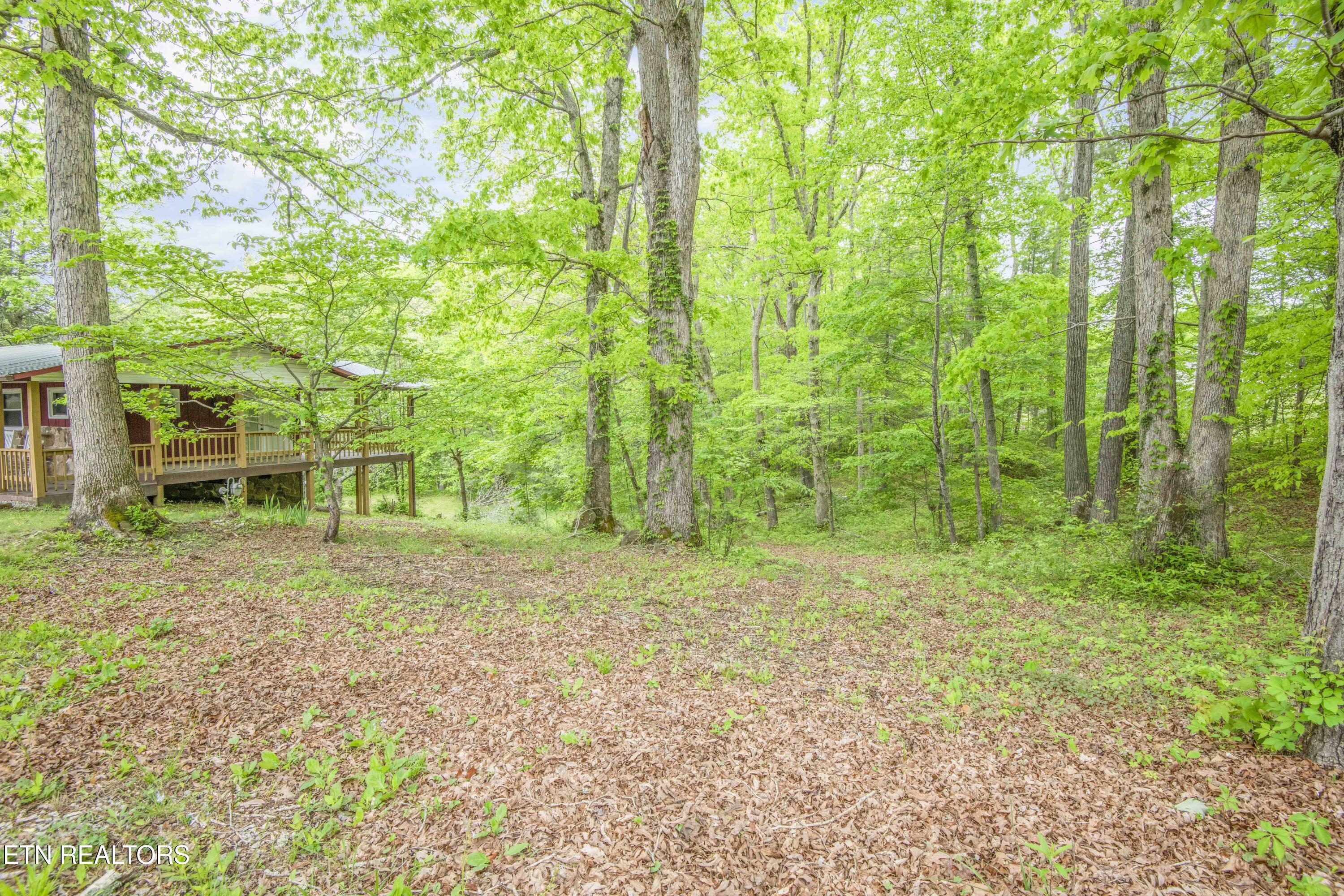 355 Eli Lane Oneida TN 37841