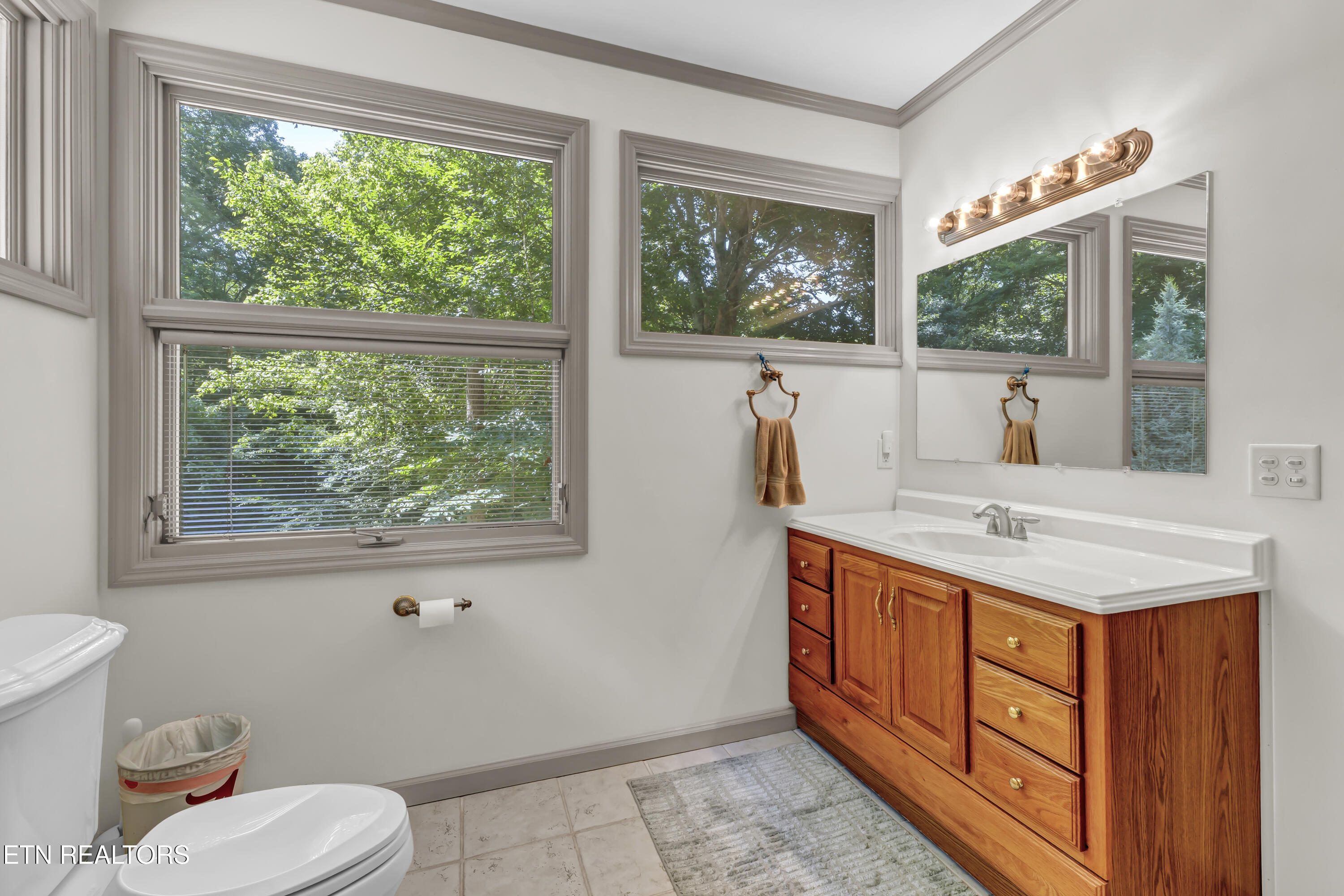 346 Fallen Oak Court Seymour TN 37865