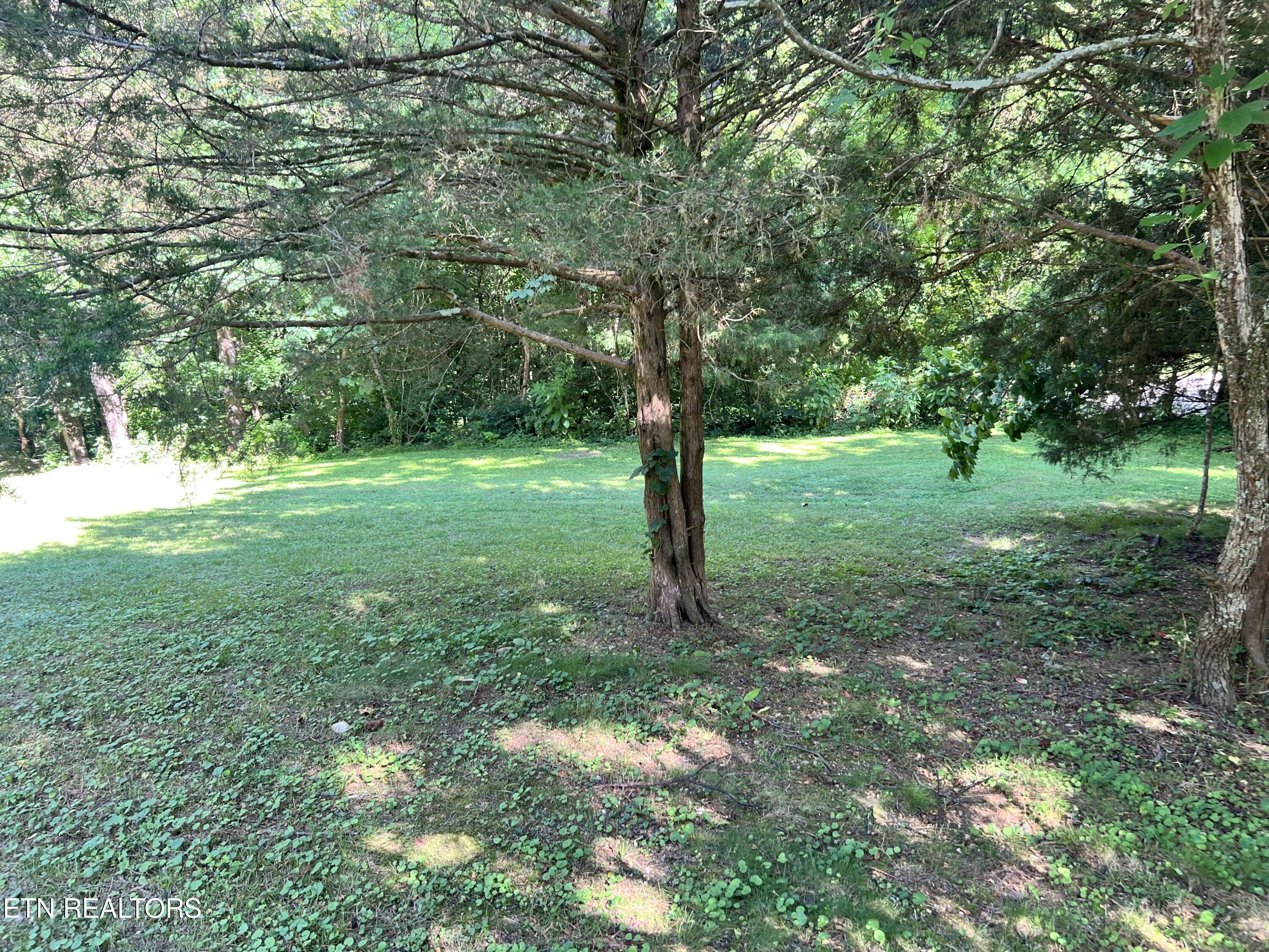 1455 Davis Chapel Road Lafollette TN 37766