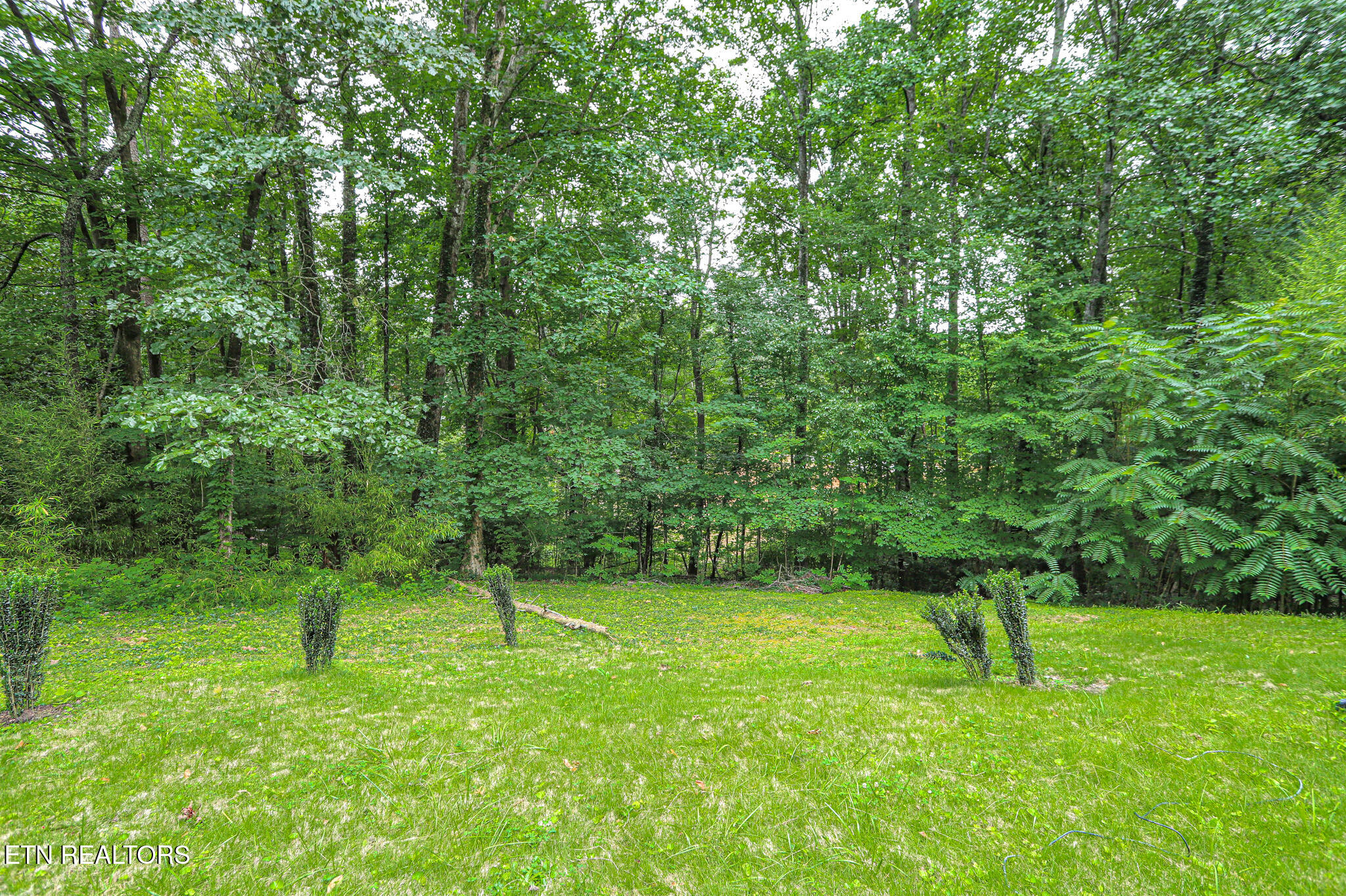 106 Wood Ridge Lane Oak Ridge TN 37830