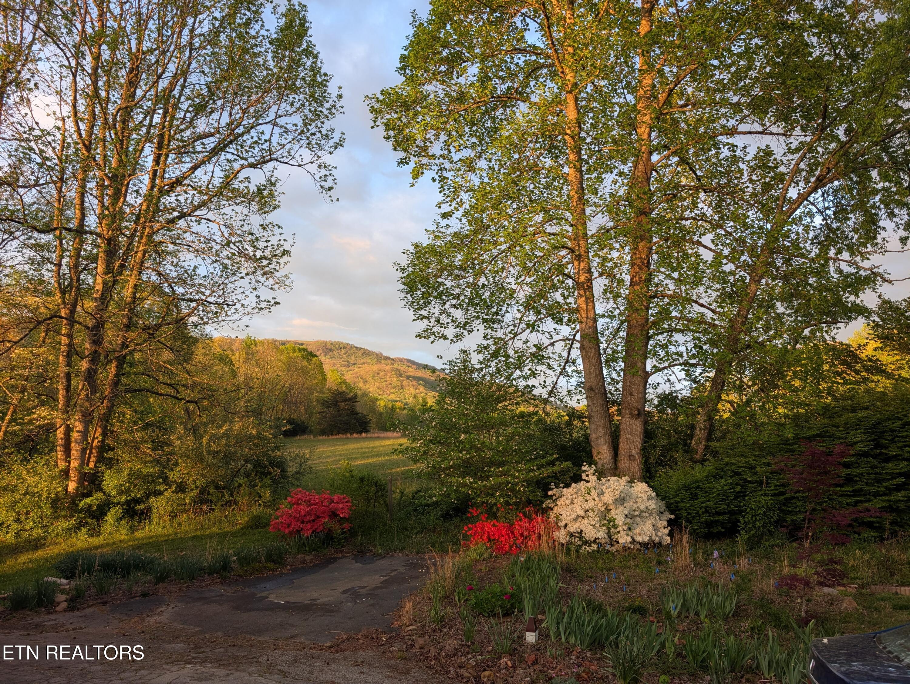 127 Mountain Road Oliver Springs TN 37840