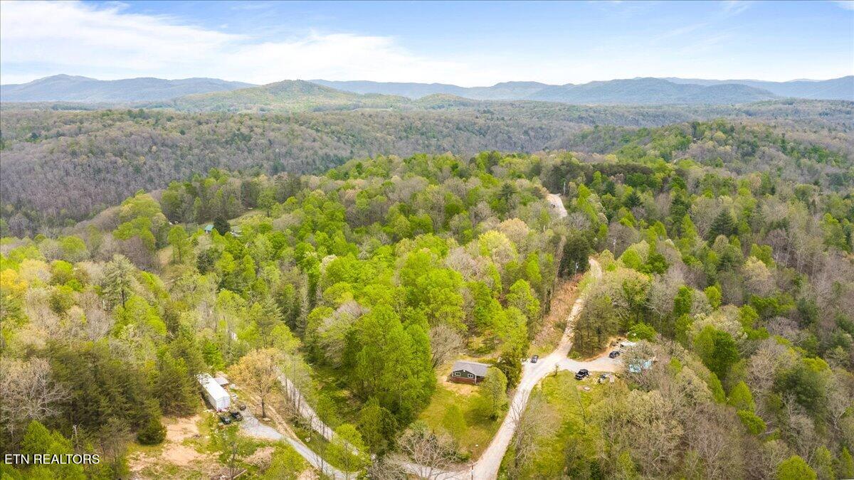 520 W Hills Drive Huntsville TN 37756