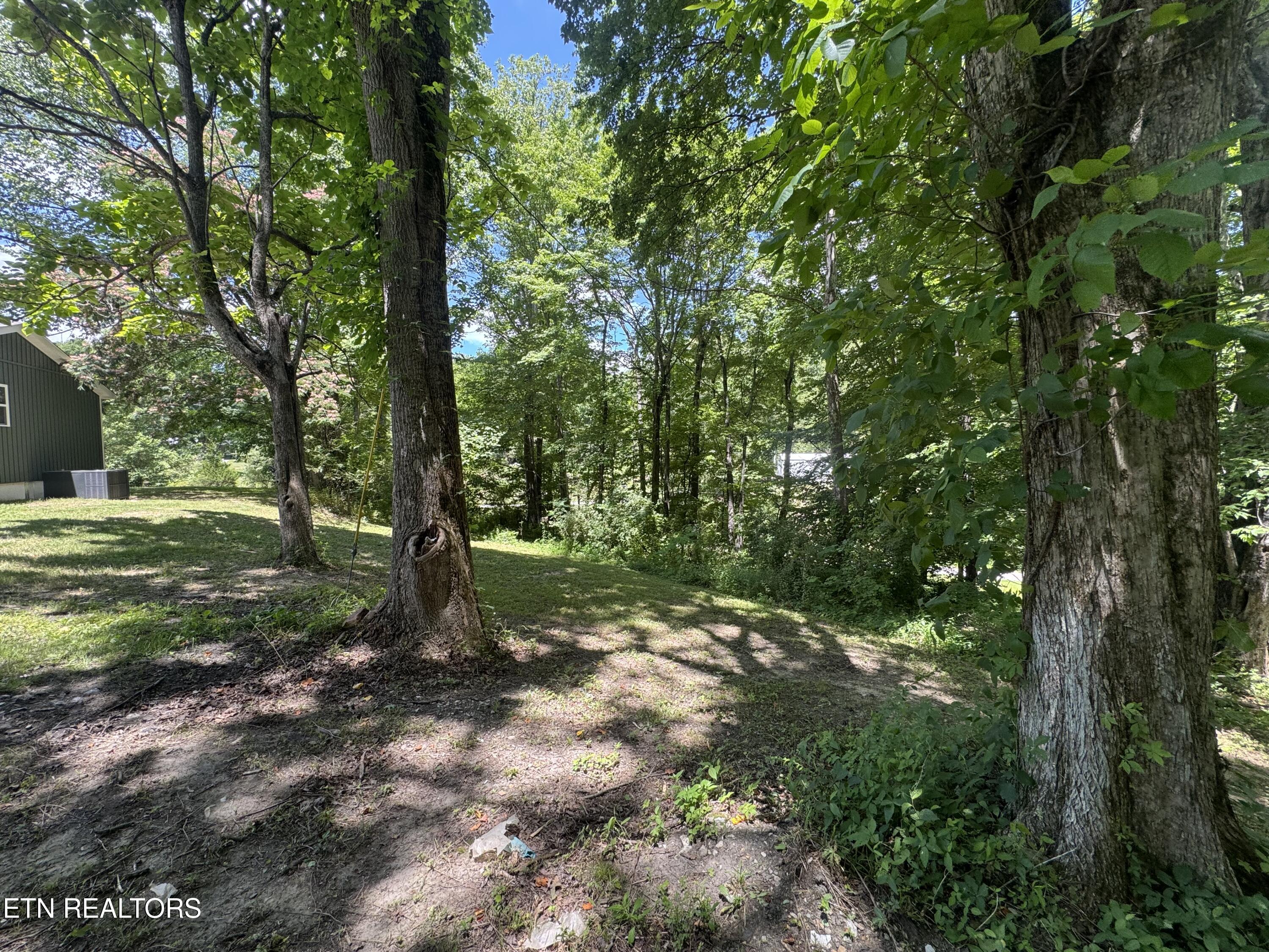 520 W Hills Drive Huntsville TN 37756