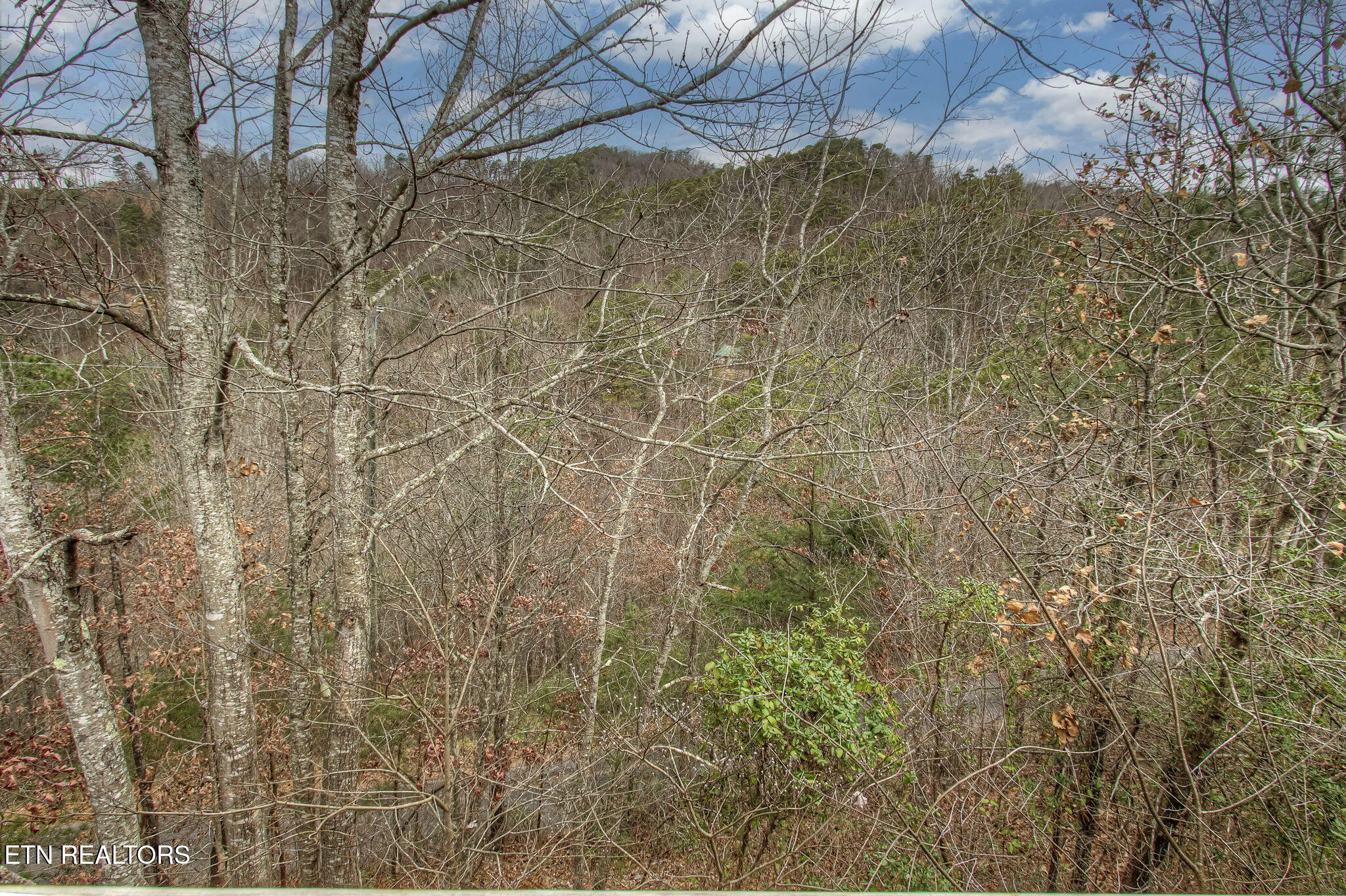 3049 Patty View Way Sevierville TN 37862