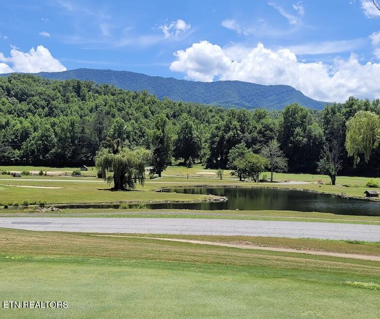 725 Sunshine Trail Gatlinburg TN 37738