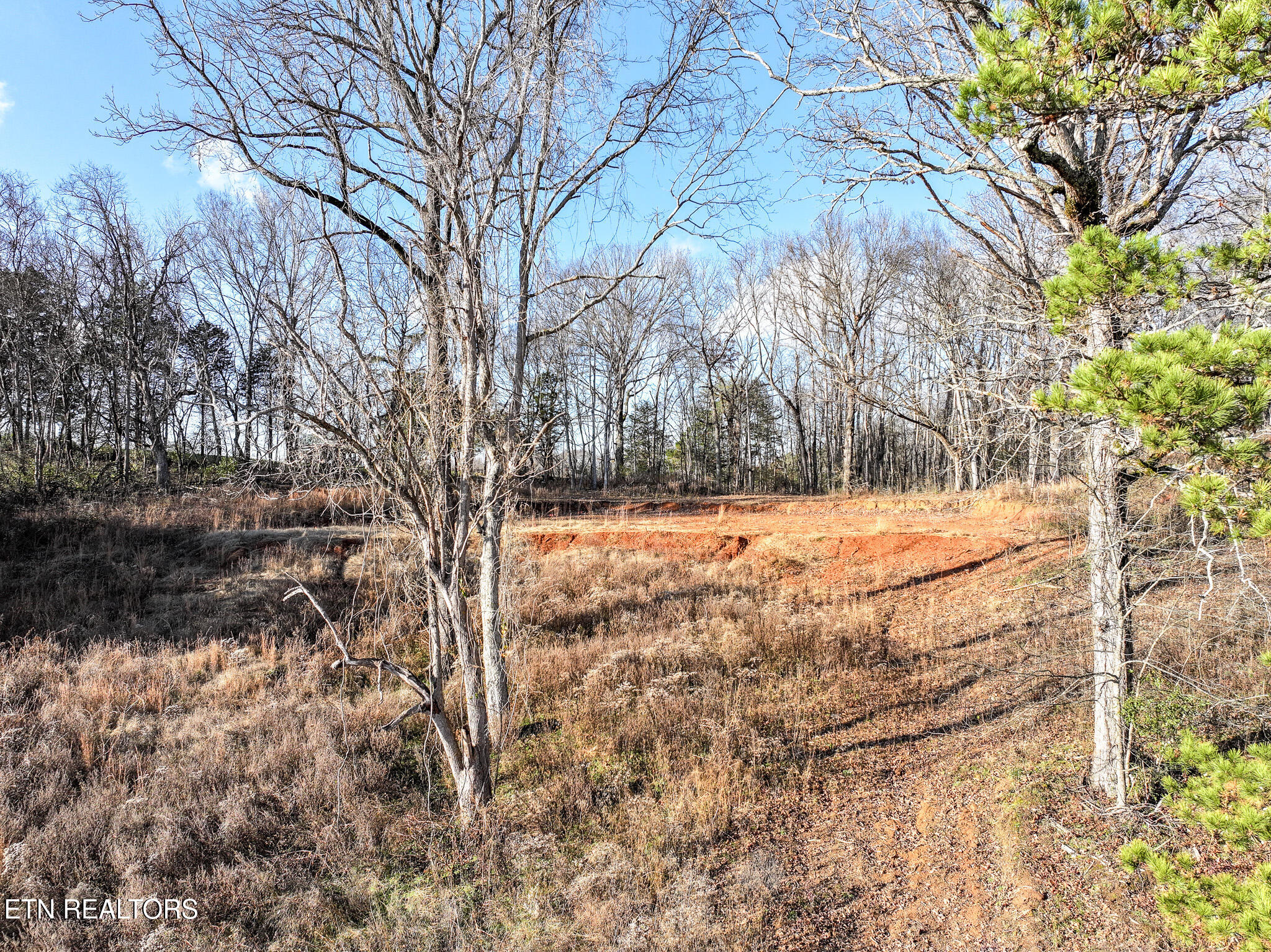 1741 Redwing Lane New Market TN 37820