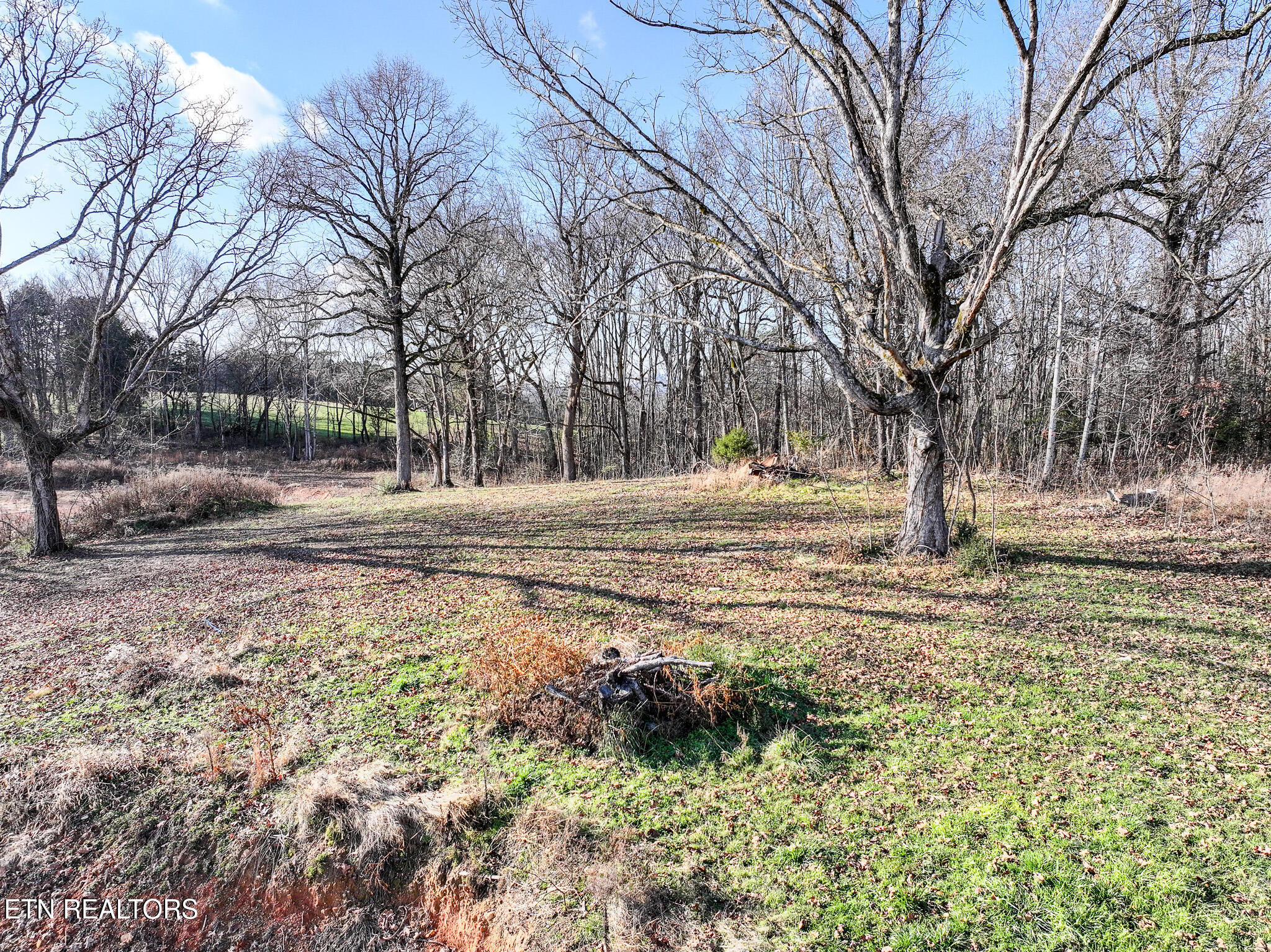 1741 Redwing Lane New Market TN 37820
