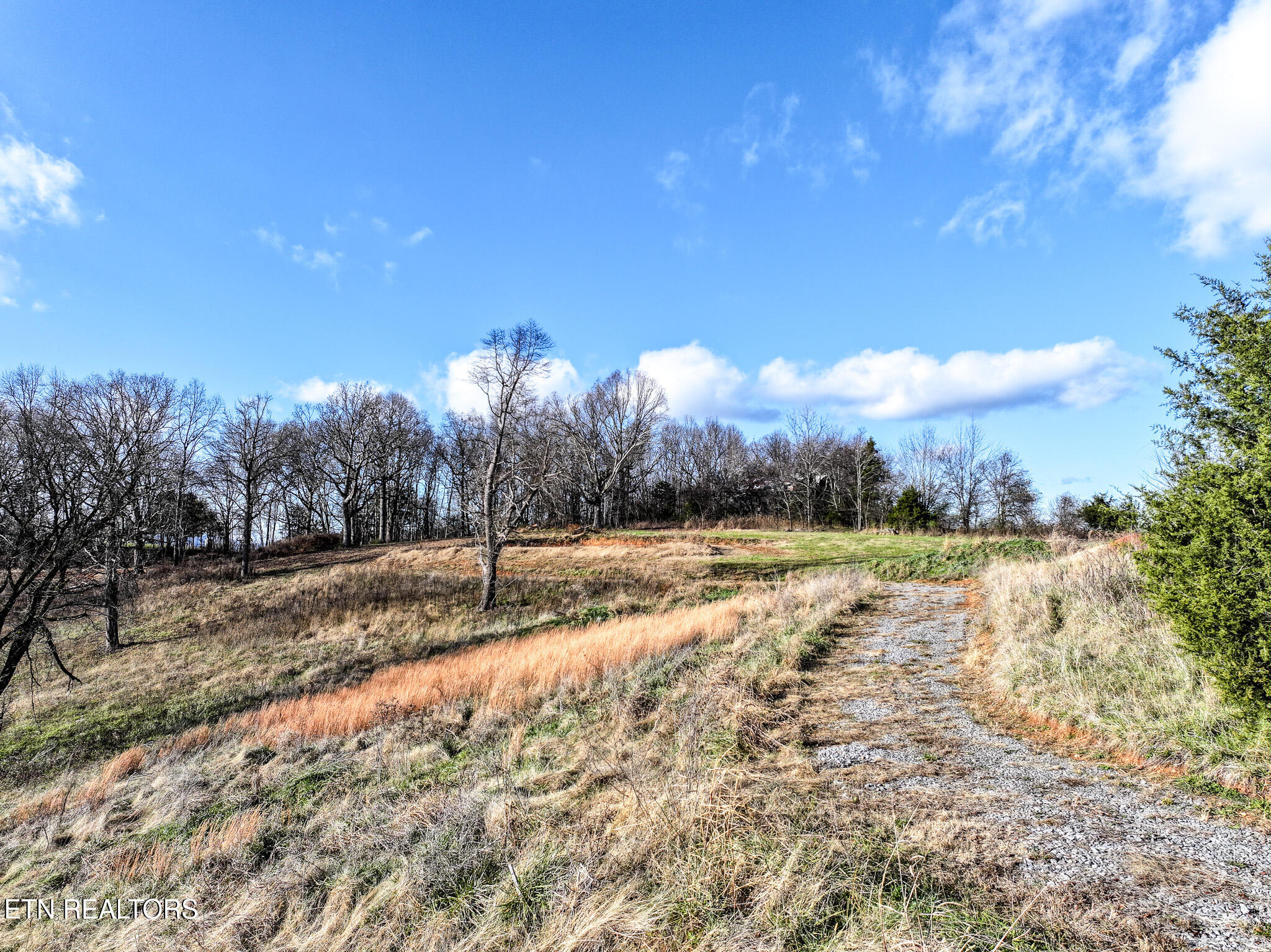 1741 Redwing Lane New Market TN 37820