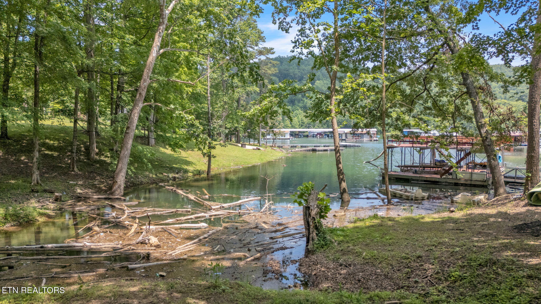 237 Blue Ridge Road Speedwell TN 37870