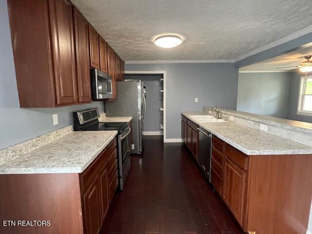 814 Moss Lane Jefferson City TN 37760