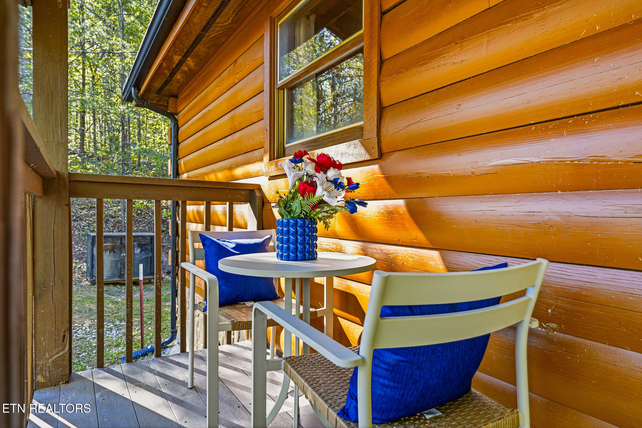 3201 Bear Country Way Sevierville TN 37876