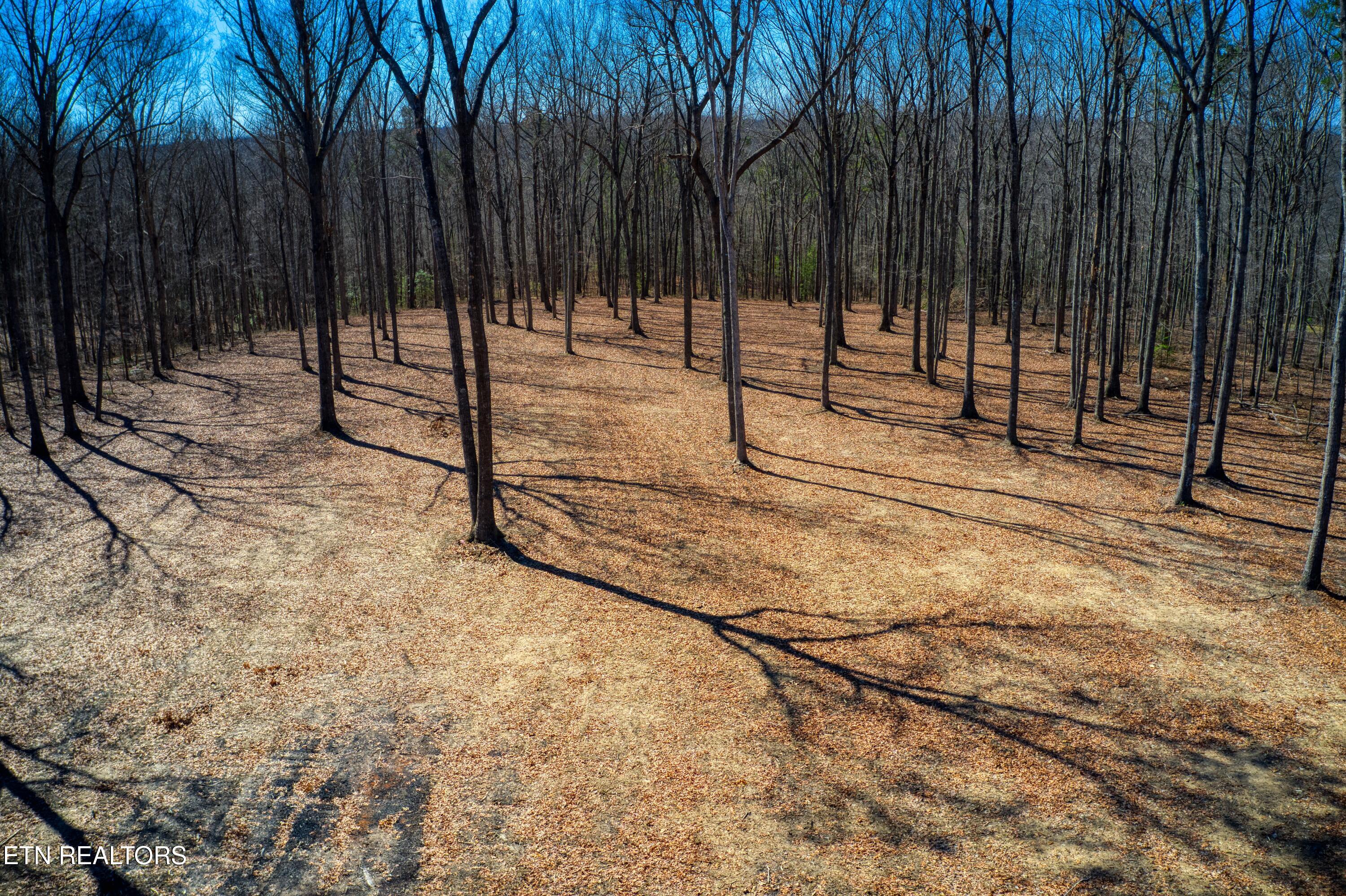 1230 Darrow Ridge Road Jamestown TN 38556