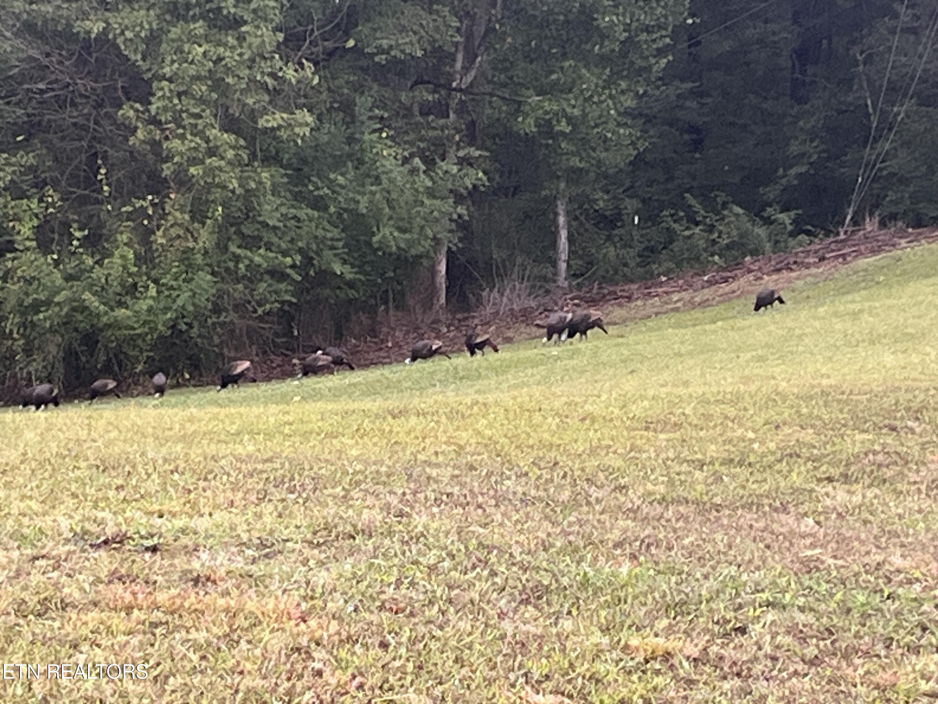 457 Shady Road Oliver Springs TN 37840