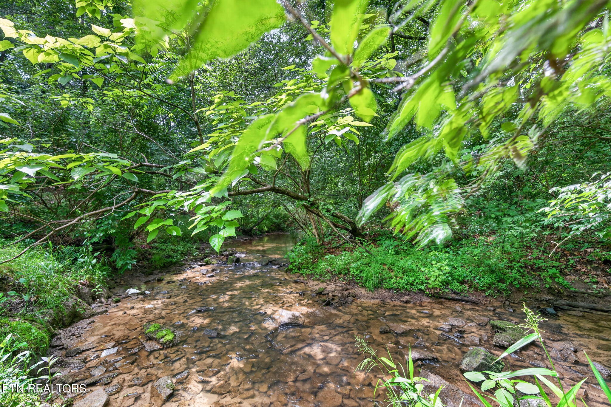 340 Prentice Street Crossville TN 38555