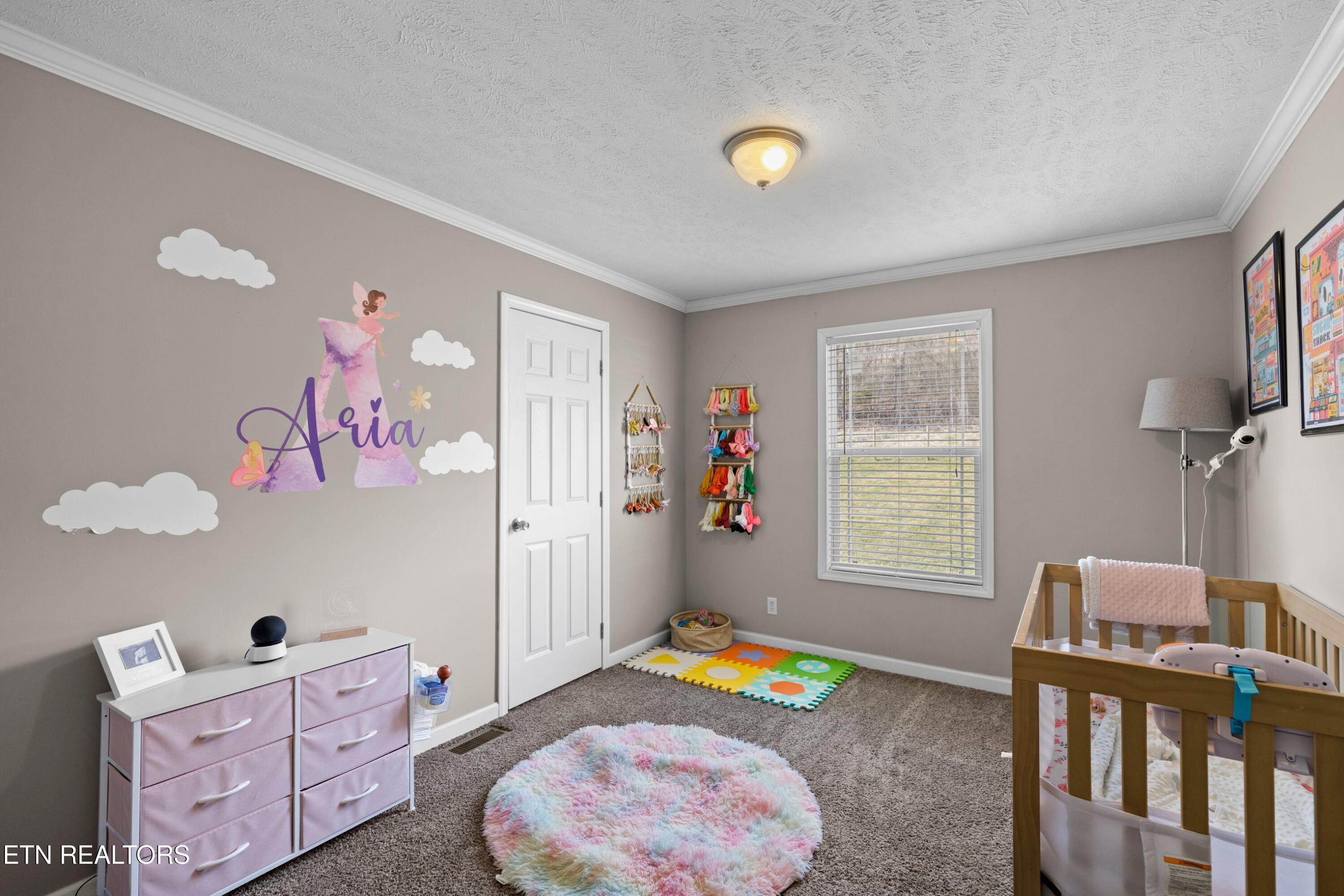 2484 Upper Caney Valley Road Tazewell TN 37879