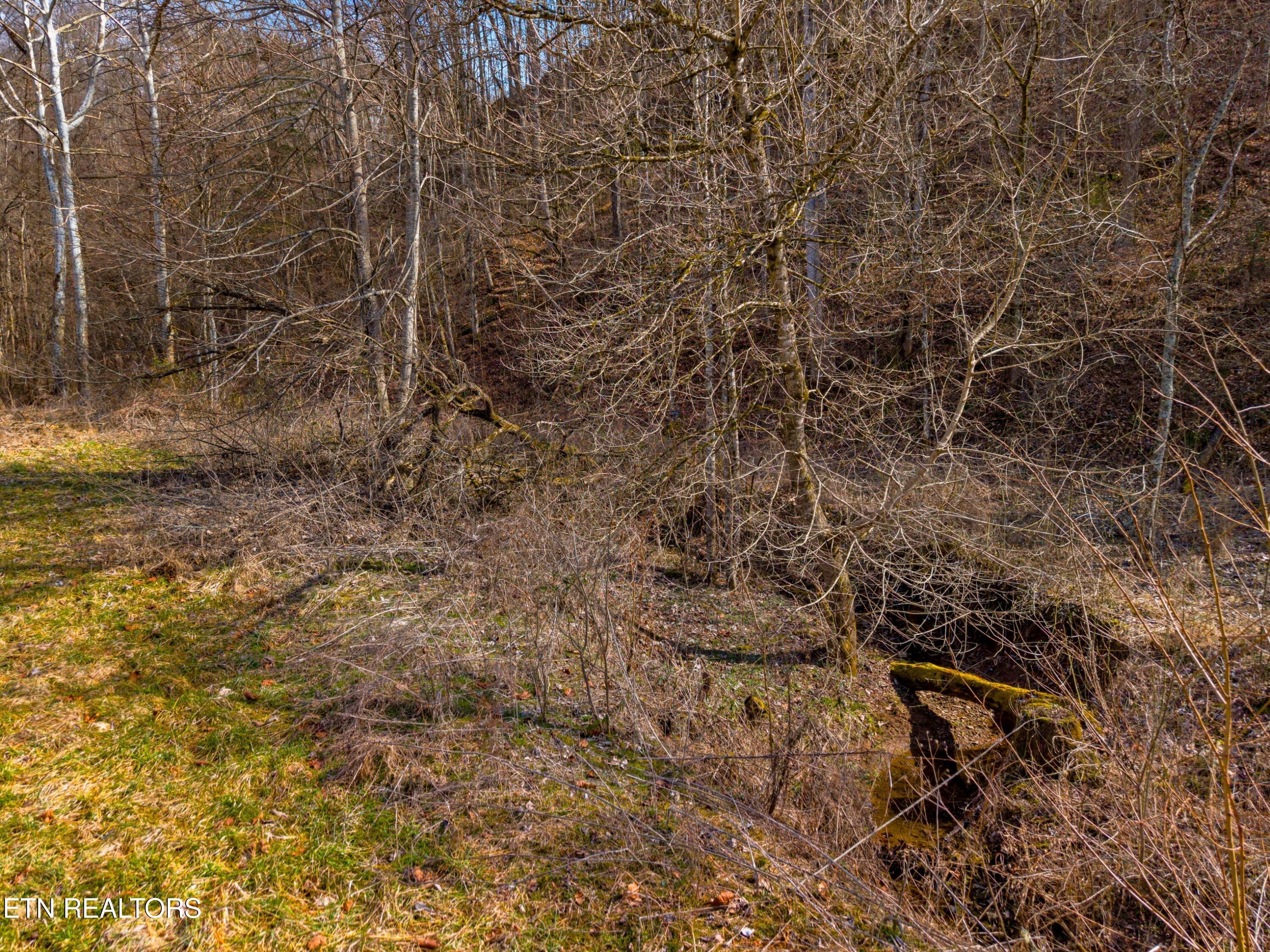 2484 Upper Caney Valley Road Tazewell TN 37879