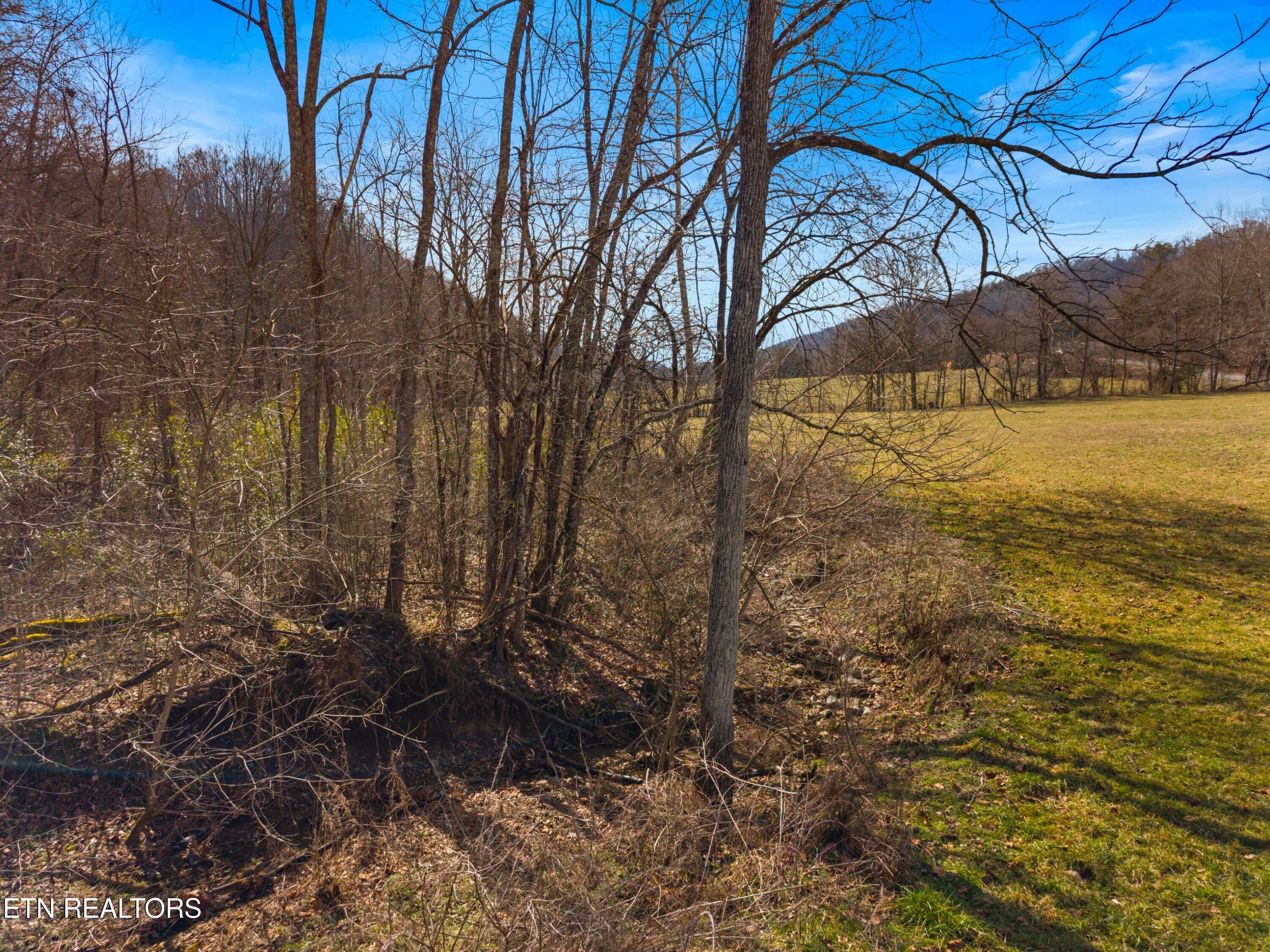 2484 Upper Caney Valley Road Tazewell TN 37879