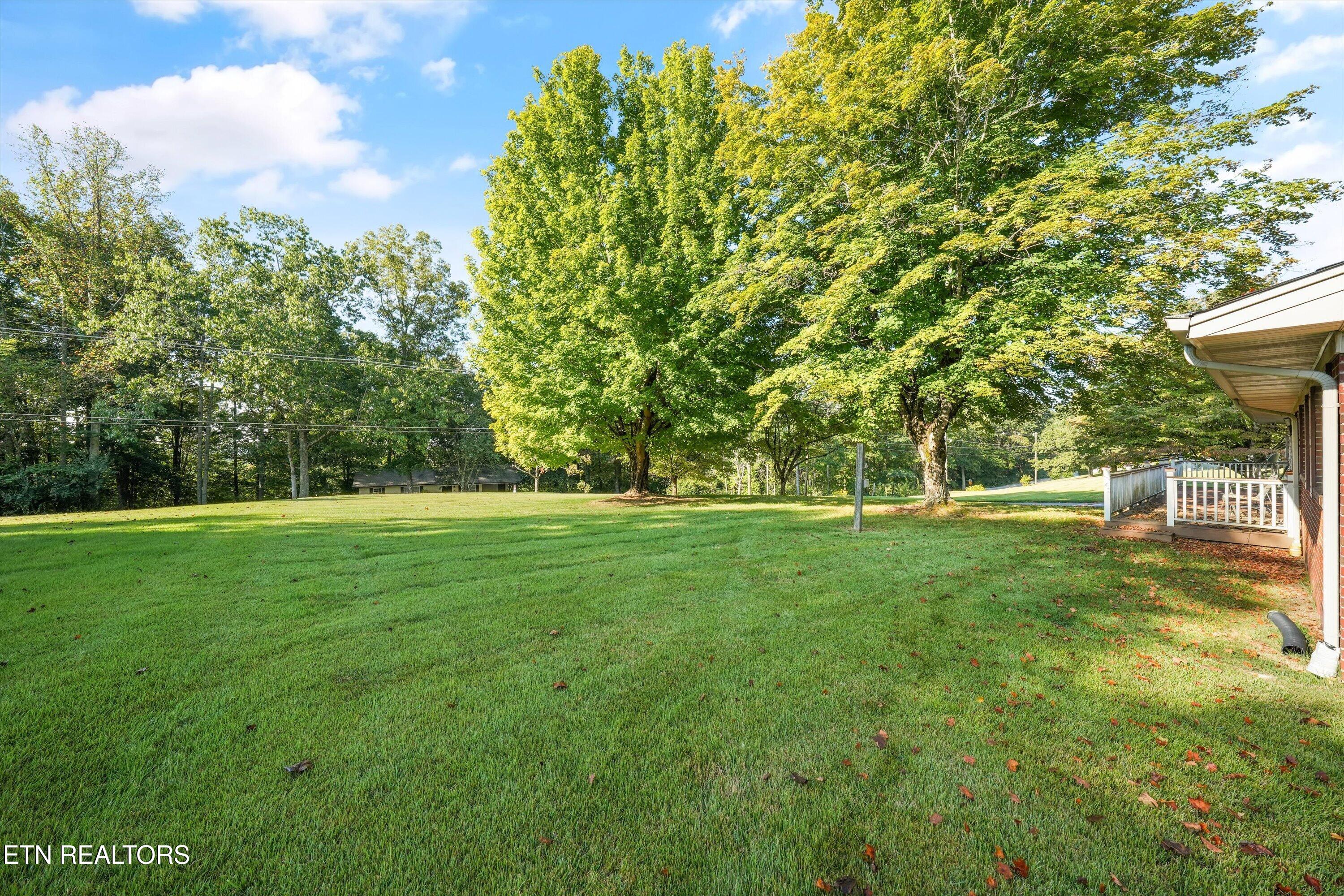 813/815 Stephens Road Rocky Top TN 37769