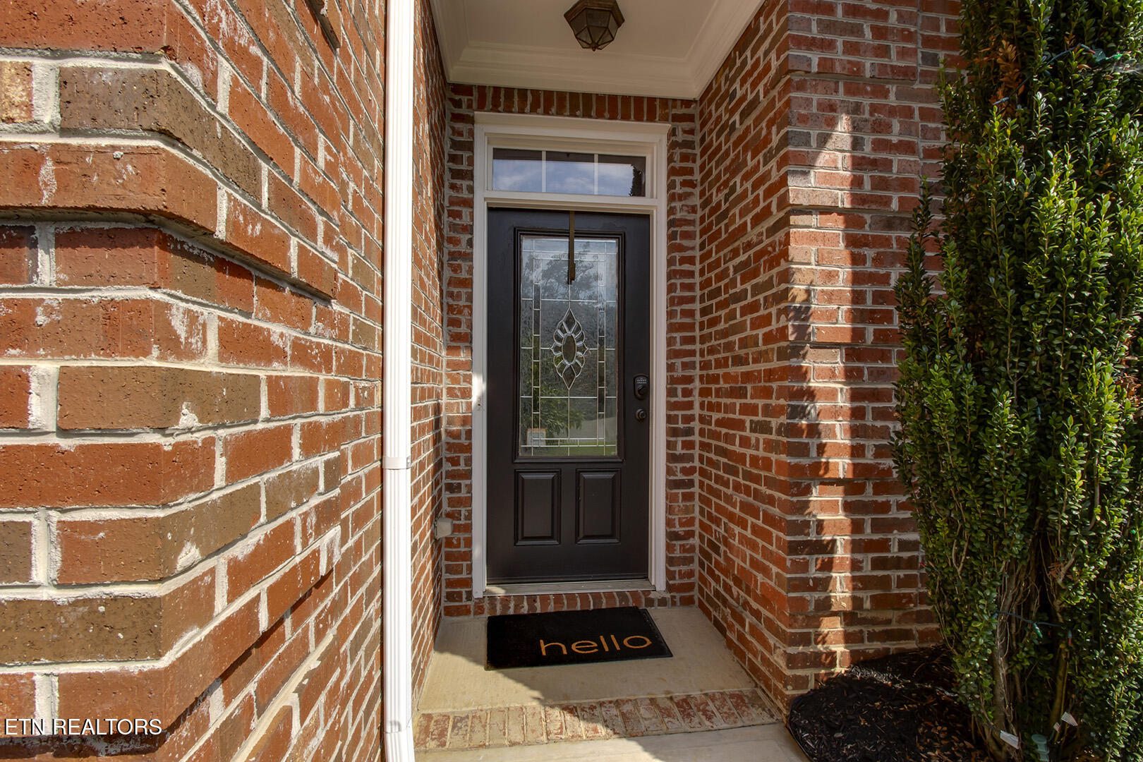 8511 King Arthur Lane Knoxville TN 37923