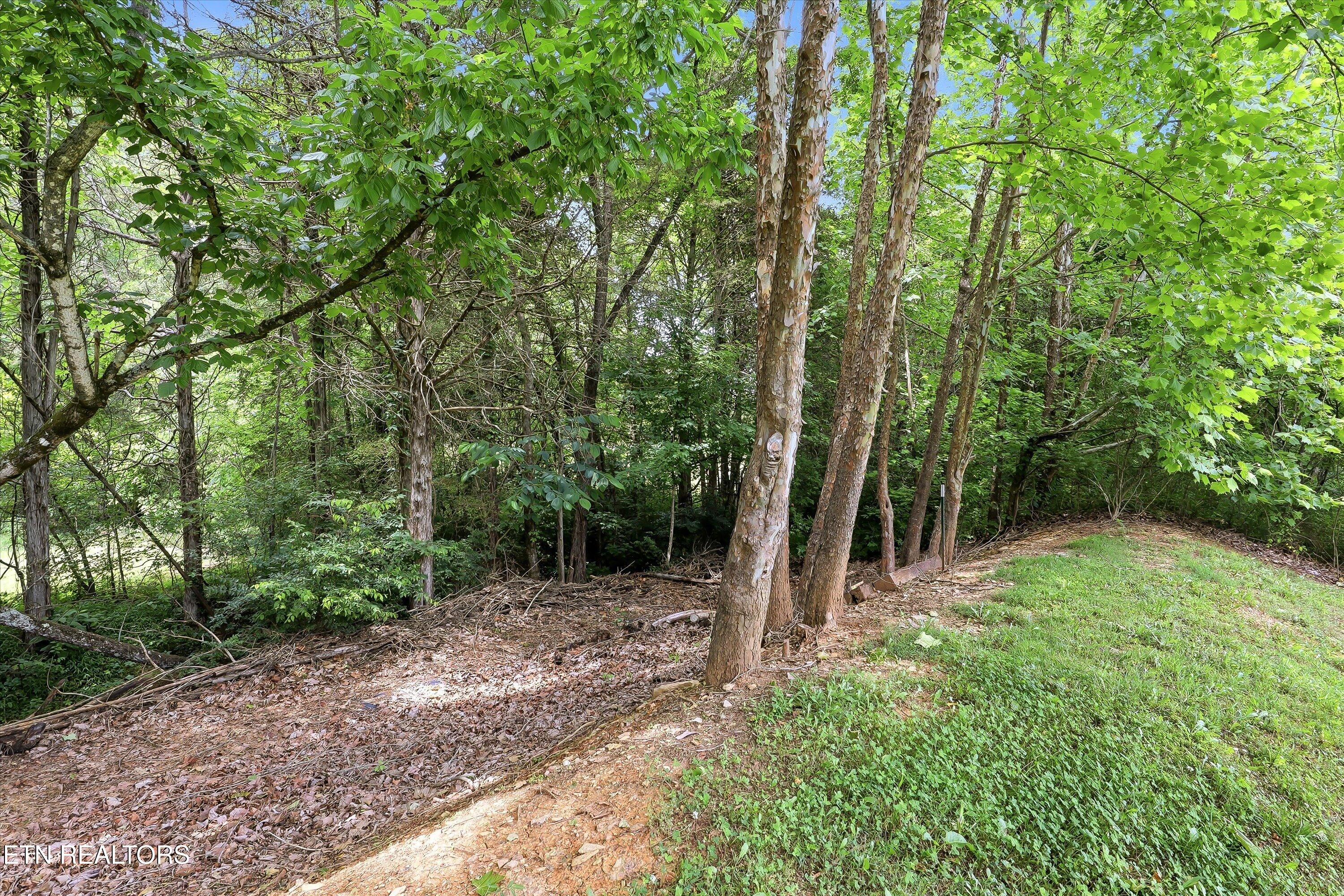 4400 Waldon Pond Lane Corryton TN 37721