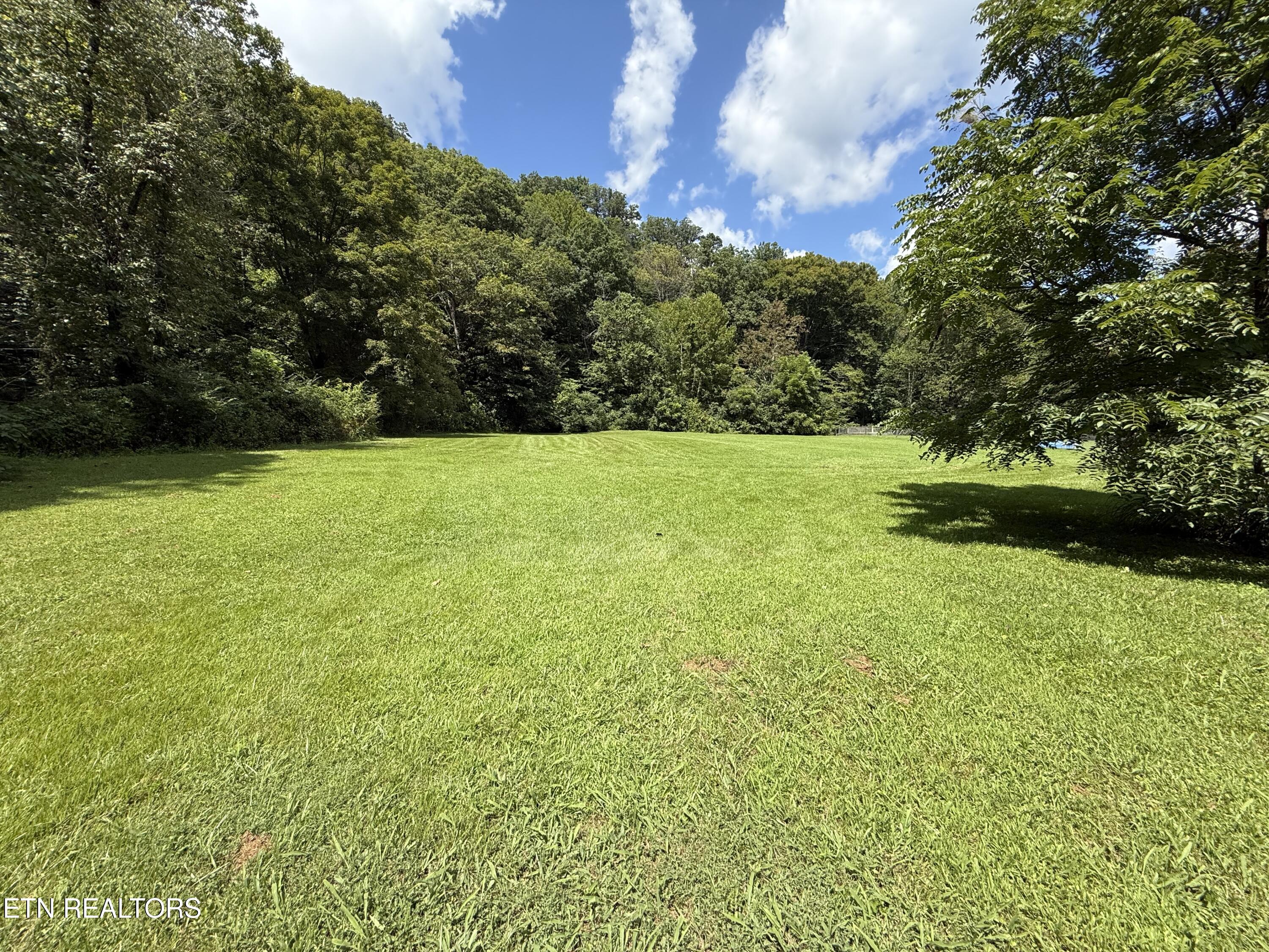 353 Cotula Road Duff TN 37729