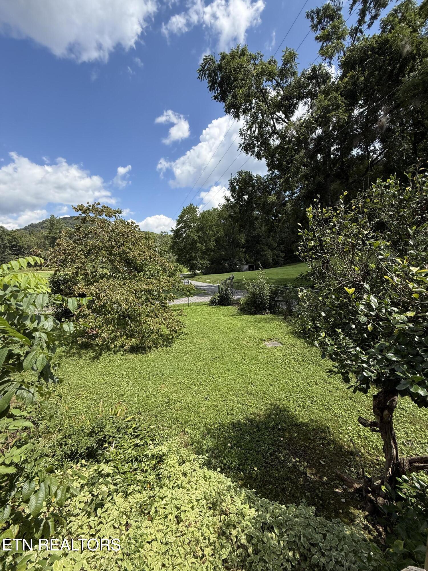 353 Cotula Road Duff TN 37729
