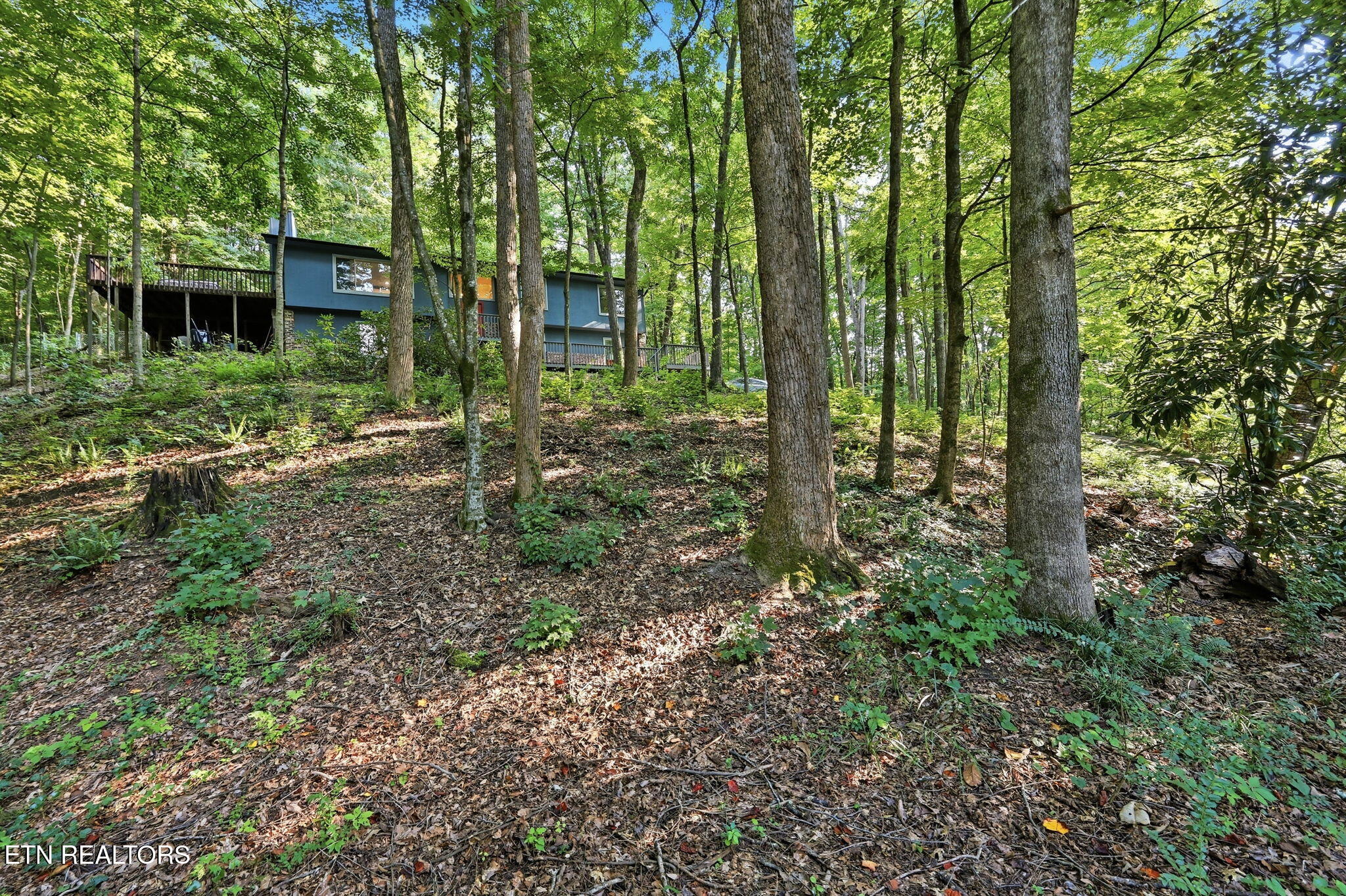 104 Connors Place Oak Ridge TN 37830