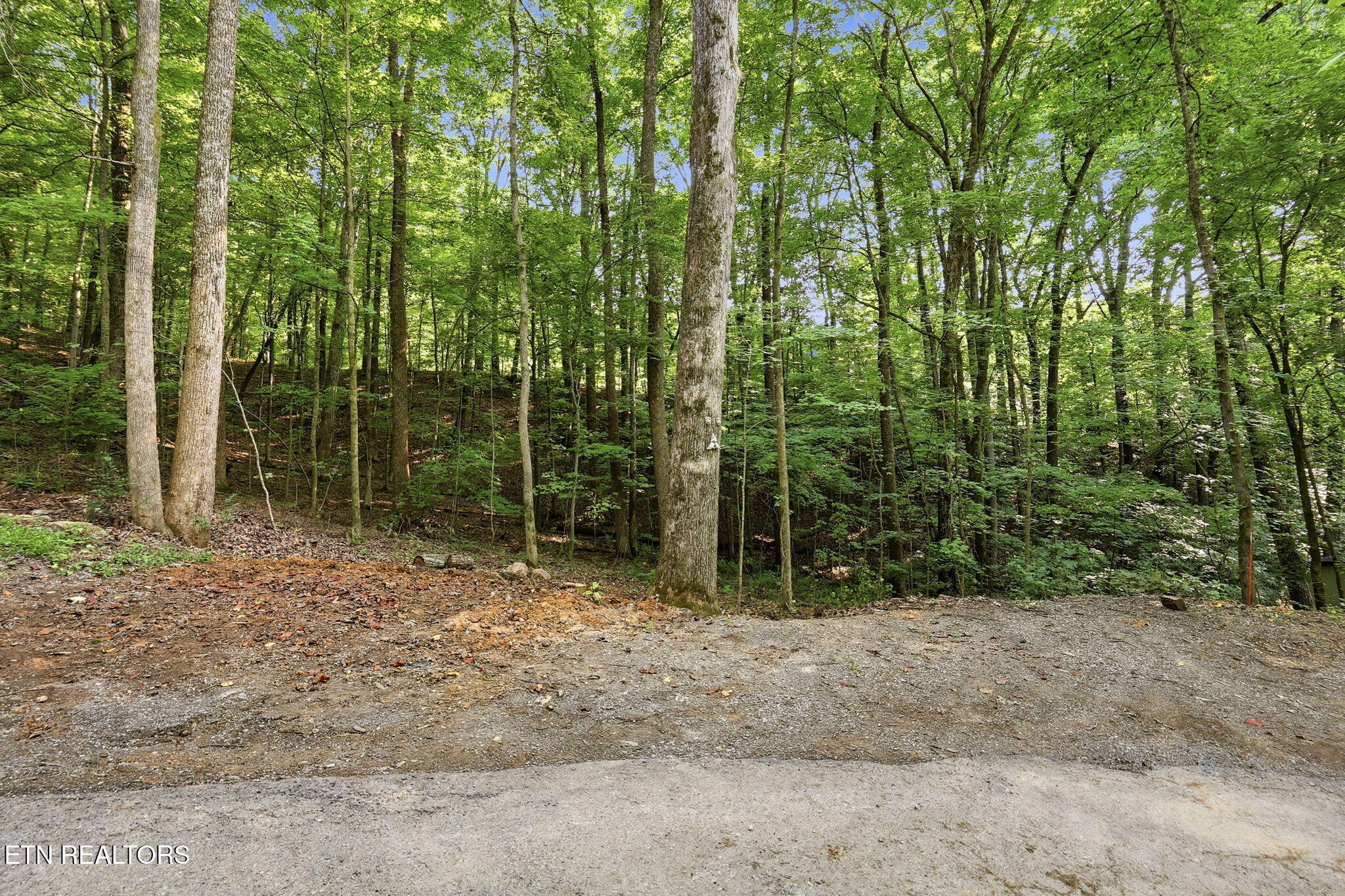 104 Connors Place Oak Ridge TN 37830