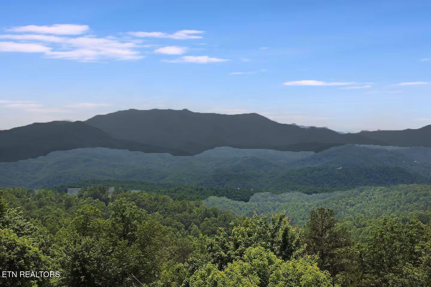 1154 Villa Overlook Way Gatlinburg TN 37738