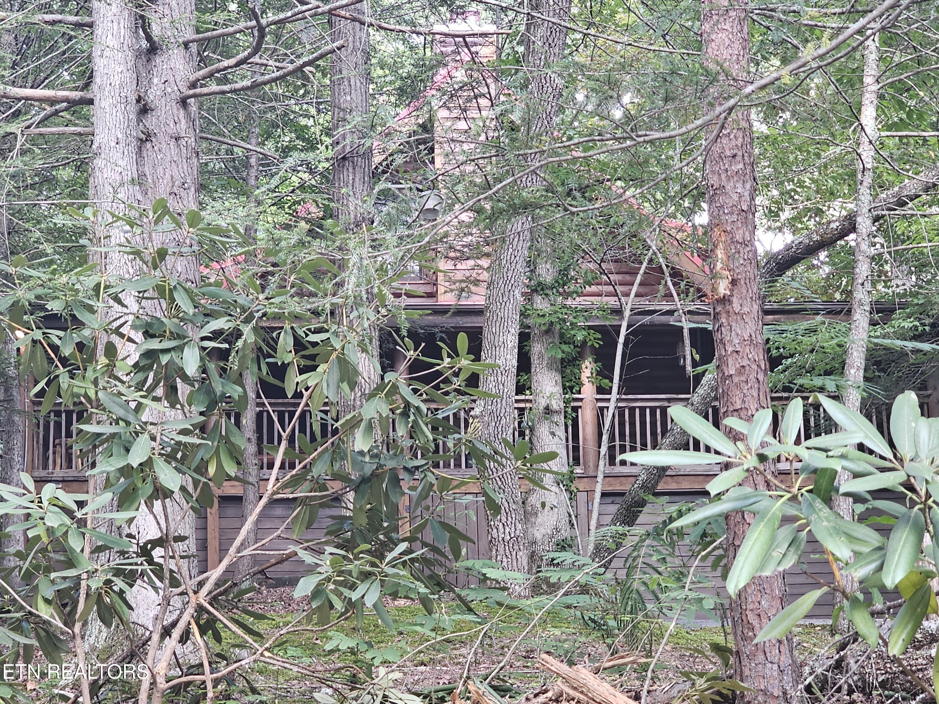 244 Palmer Road Gatlinburg TN 37738