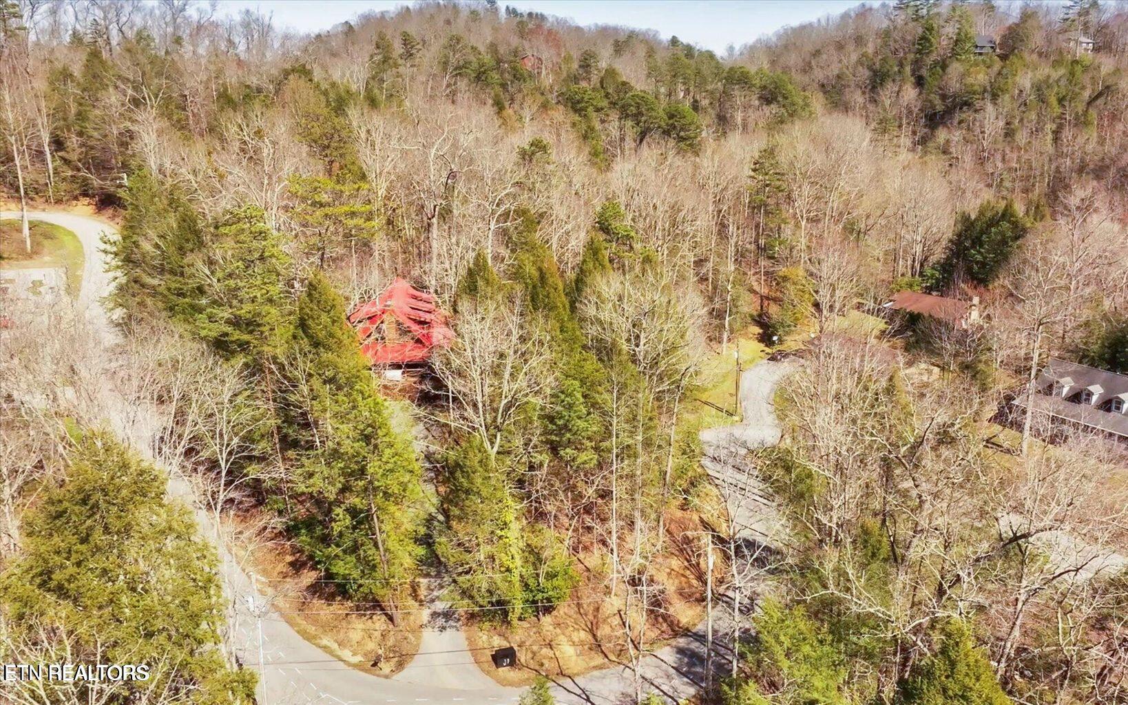 244 Palmer Road Gatlinburg TN 37738