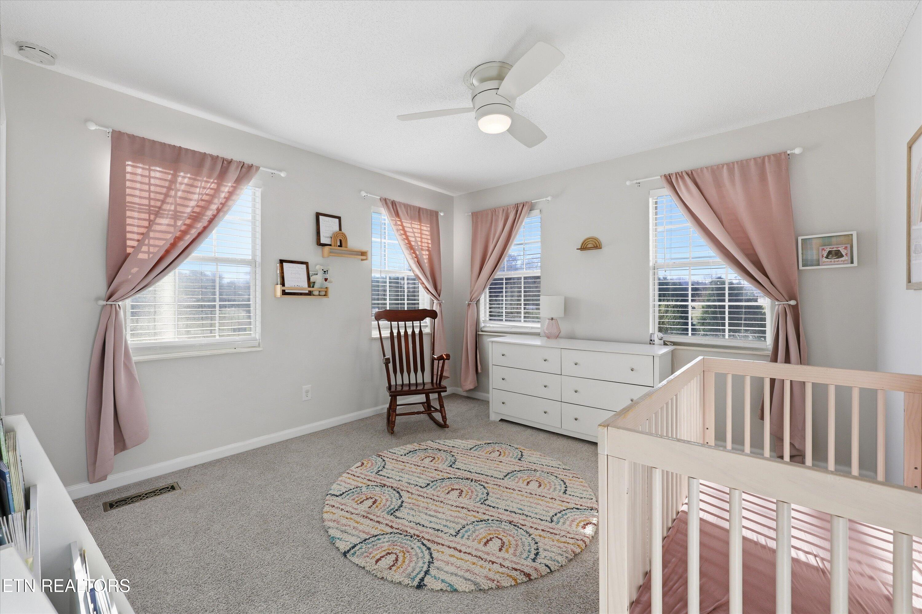 446 Emory Road Blaine TN 37709