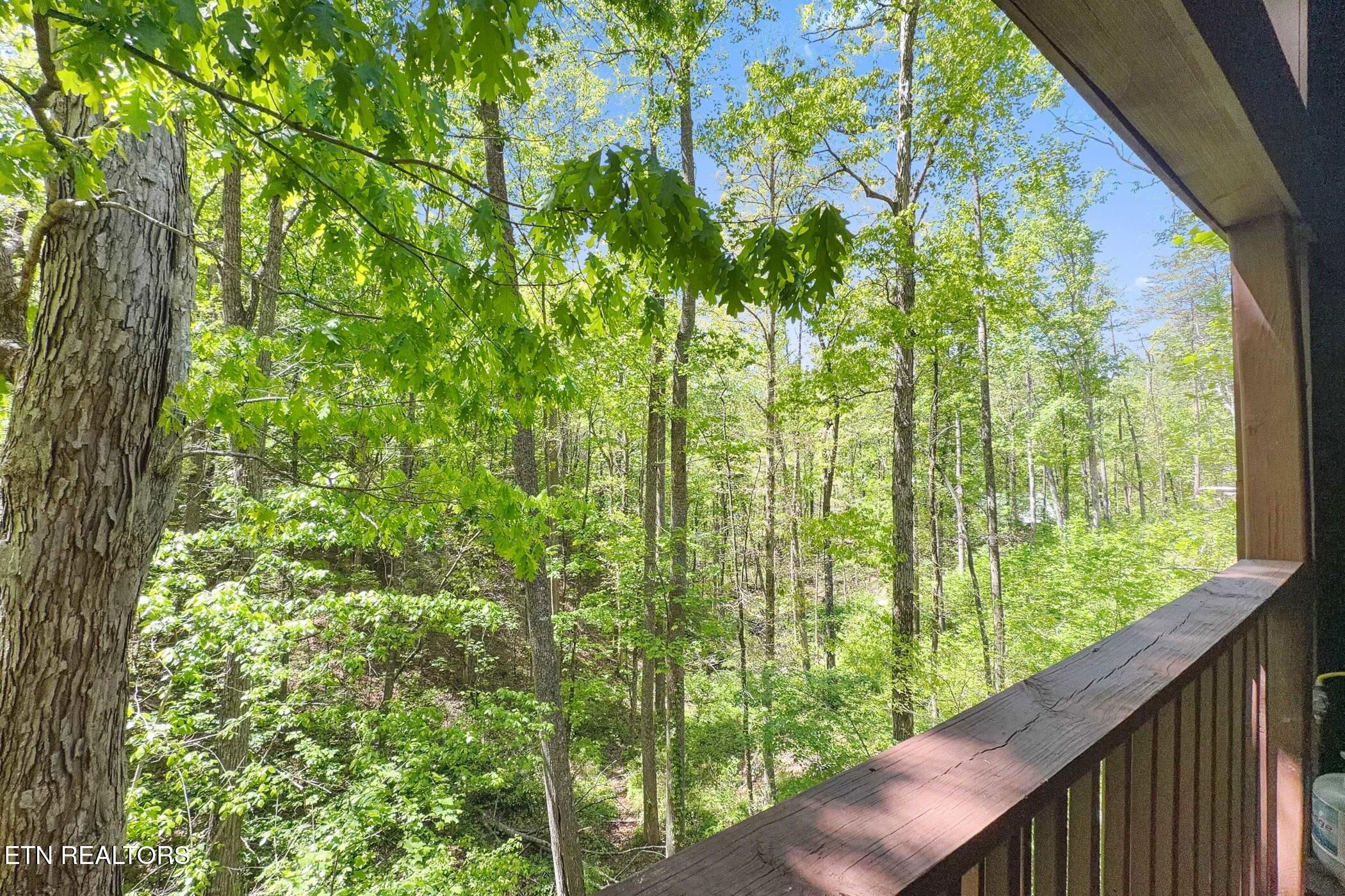 1607 S Mountain View Road Sevierville TN 37876