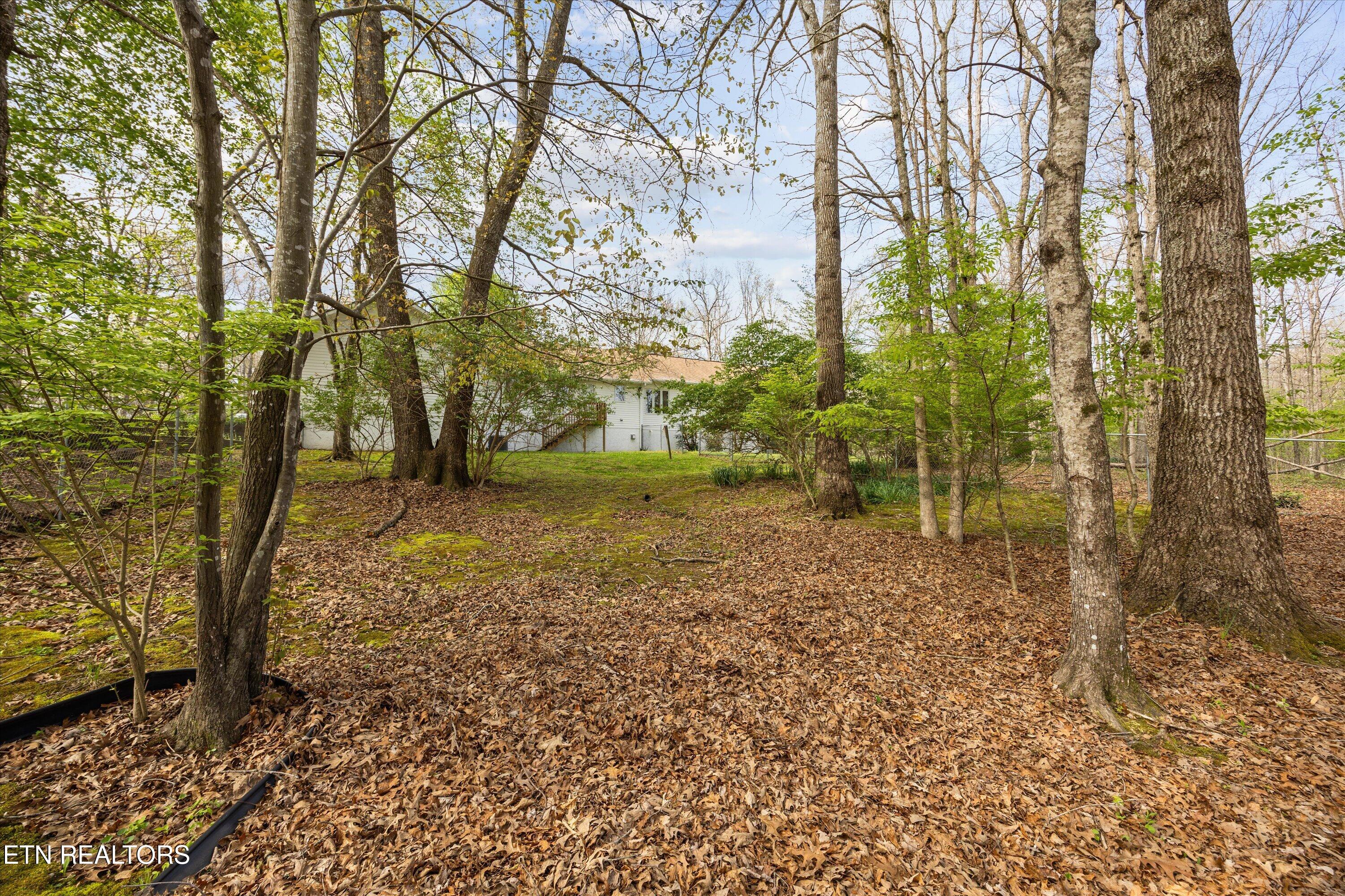 696 Laurel Circle Crossville TN 38555