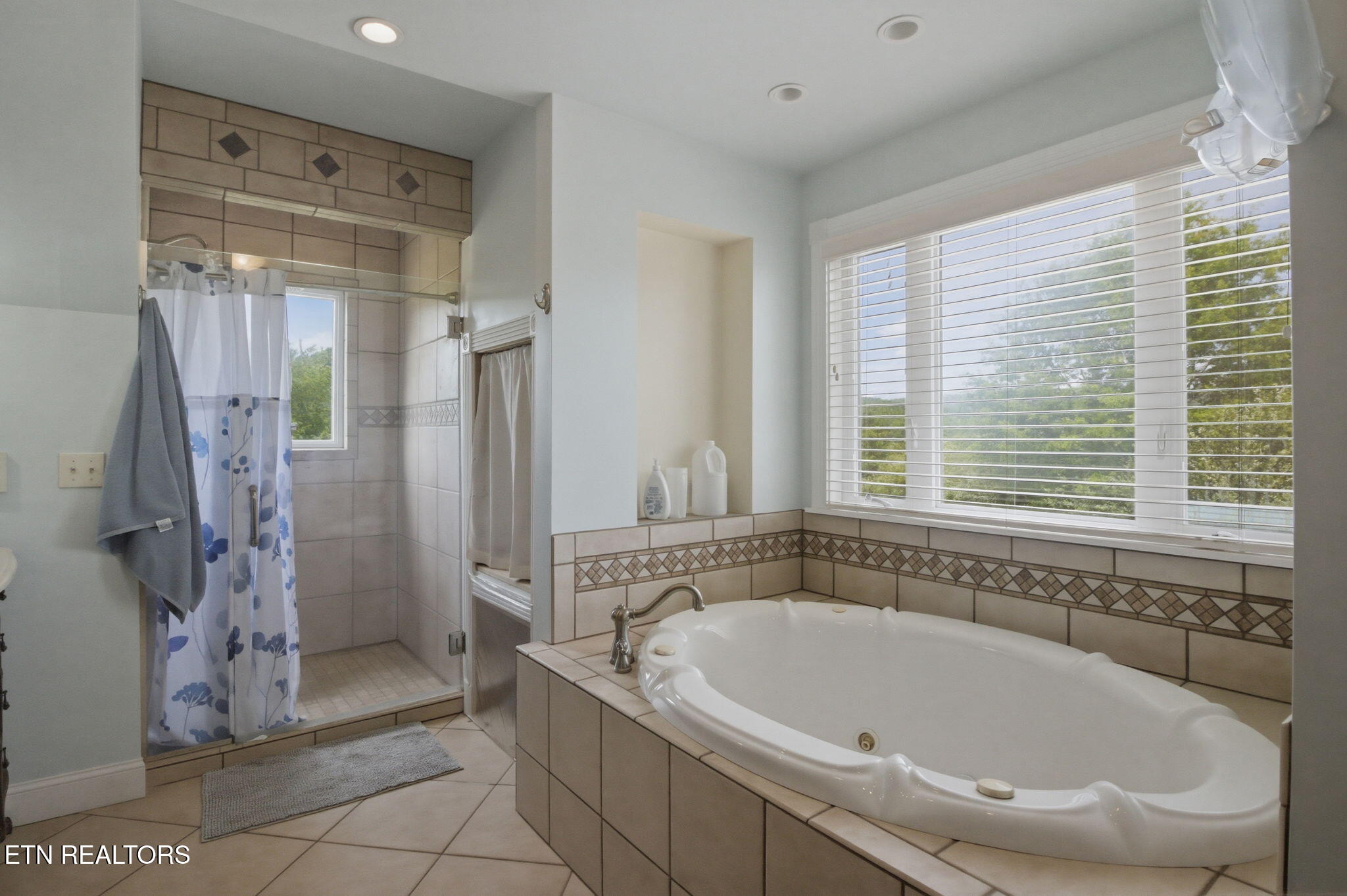 439 Brahma Lane Pioneer TN 37847