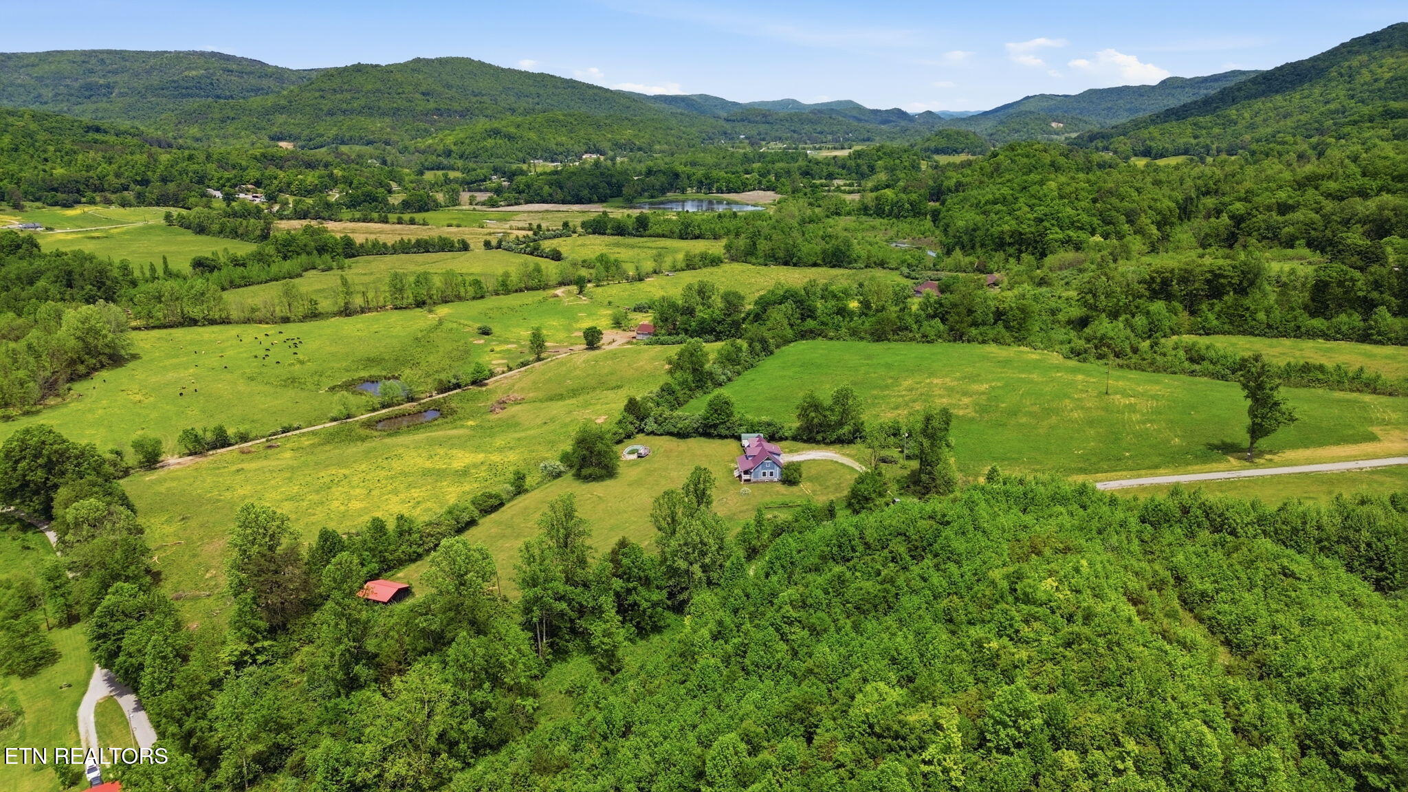 439 Brahma Lane Pioneer TN 37847