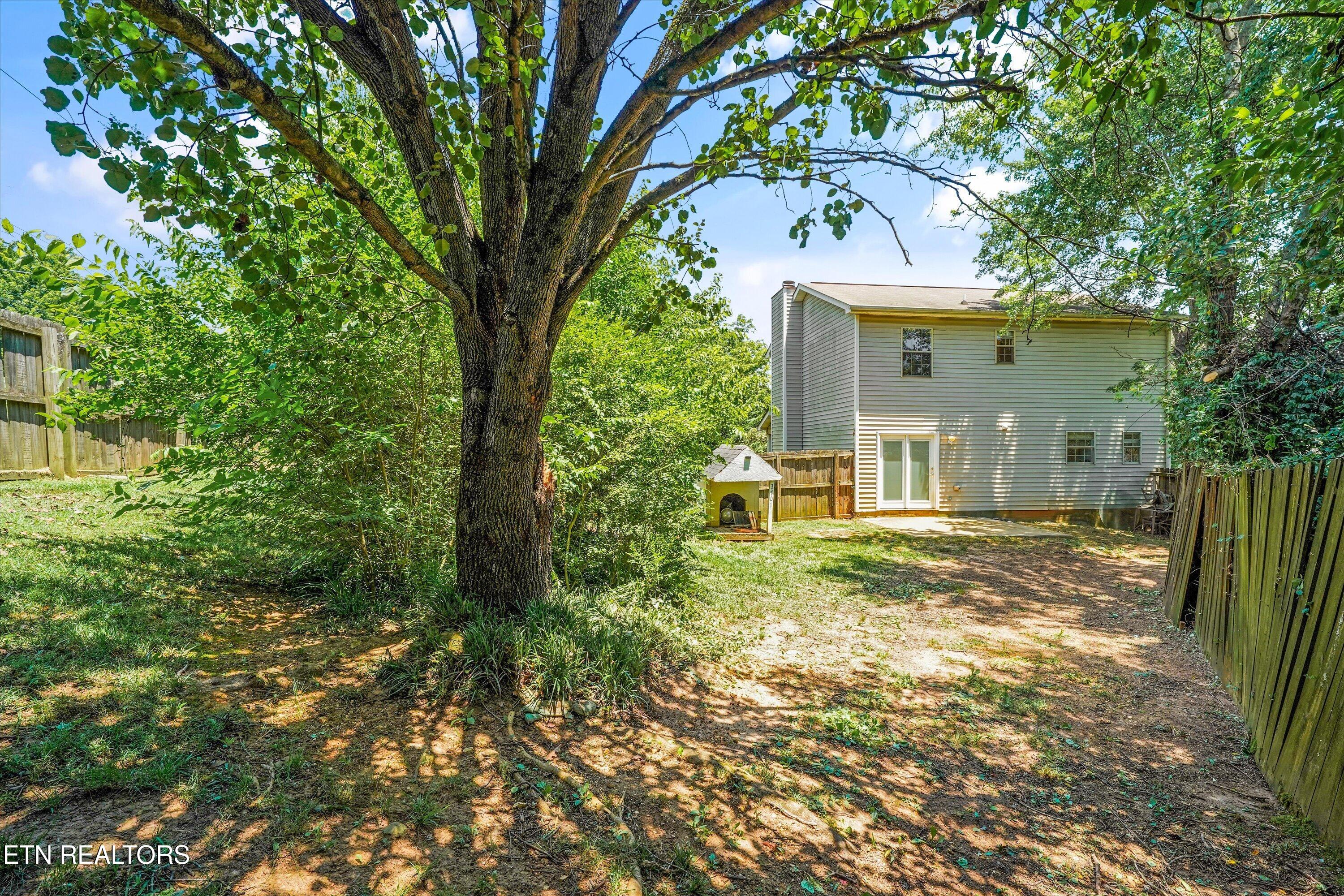 3701 Holgate Lane Powell TN 37849