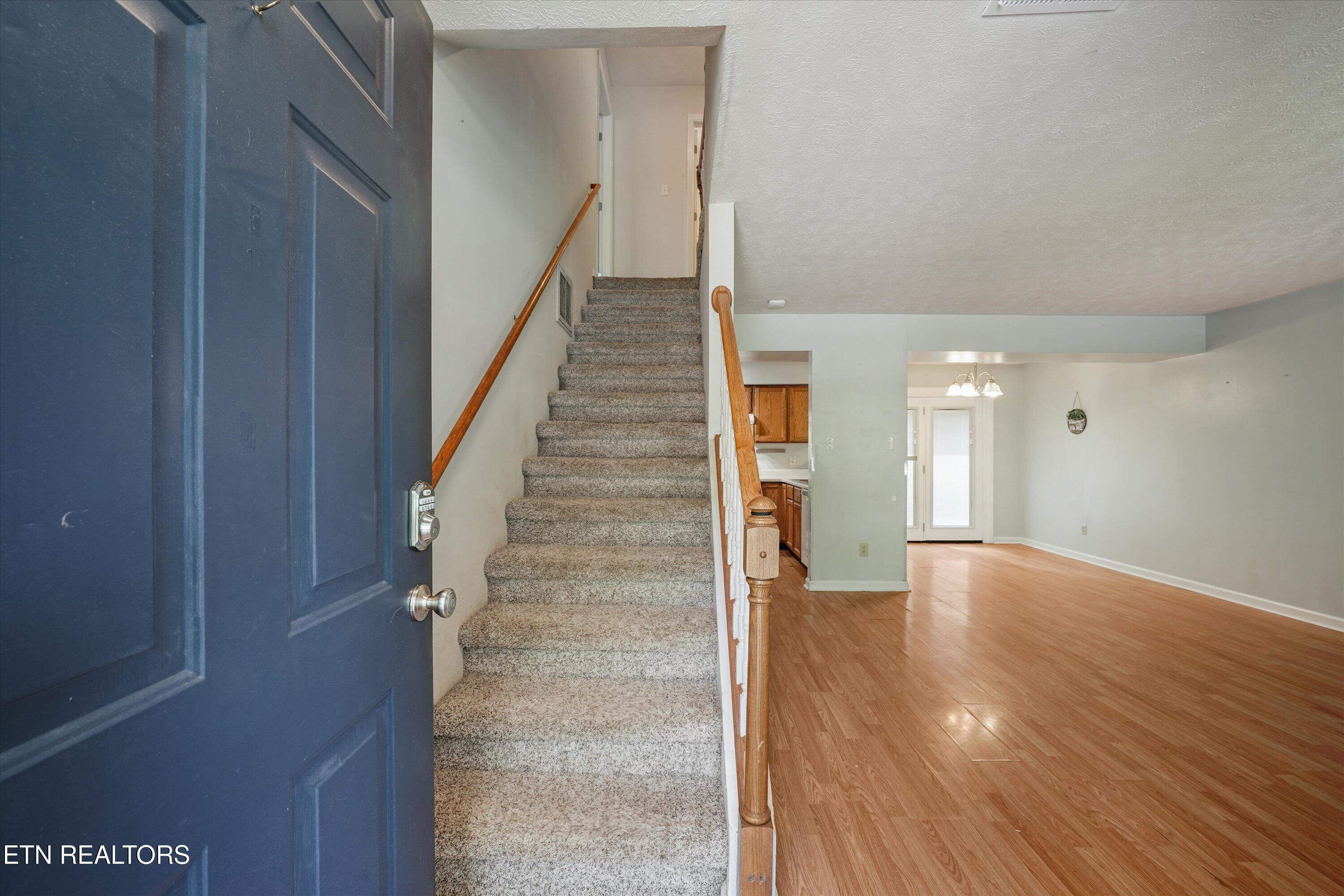 3701 Holgate Lane Powell TN 37849